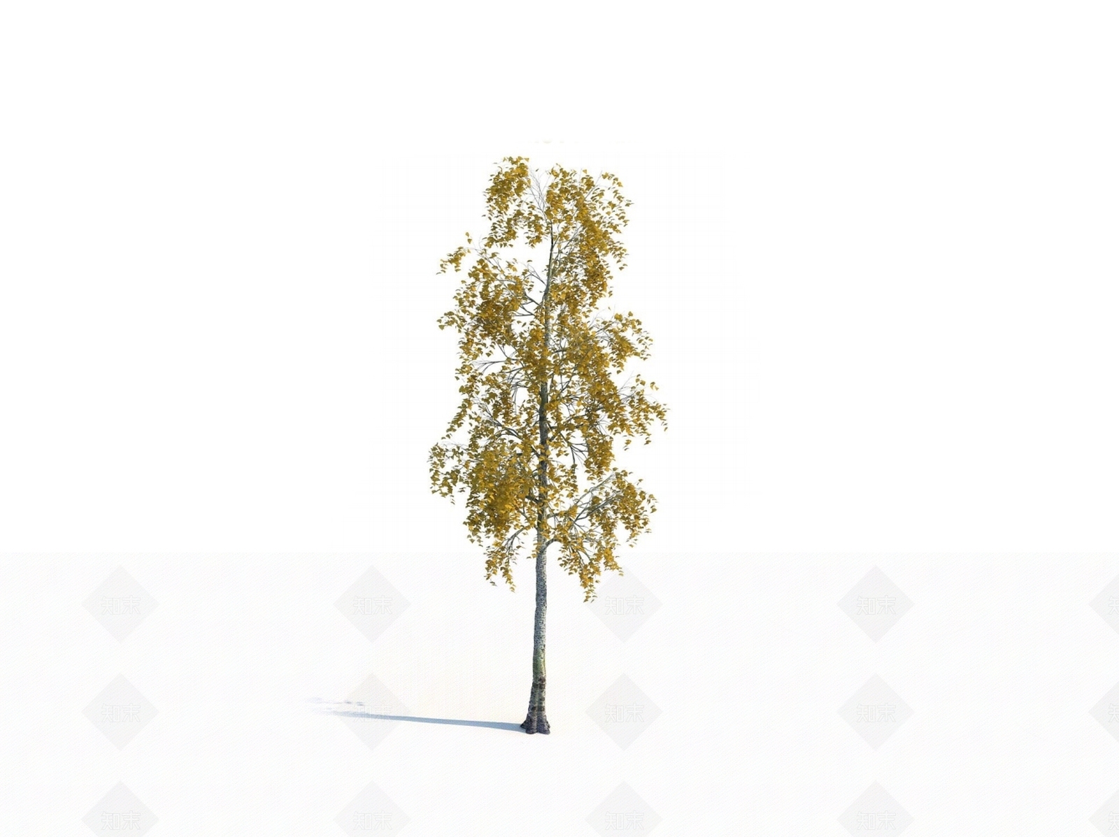 乔木3D模型下载【ID:1150591647】