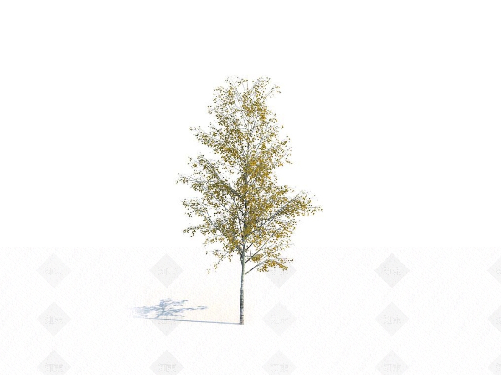 乔木3D模型下载【ID:1150592019】