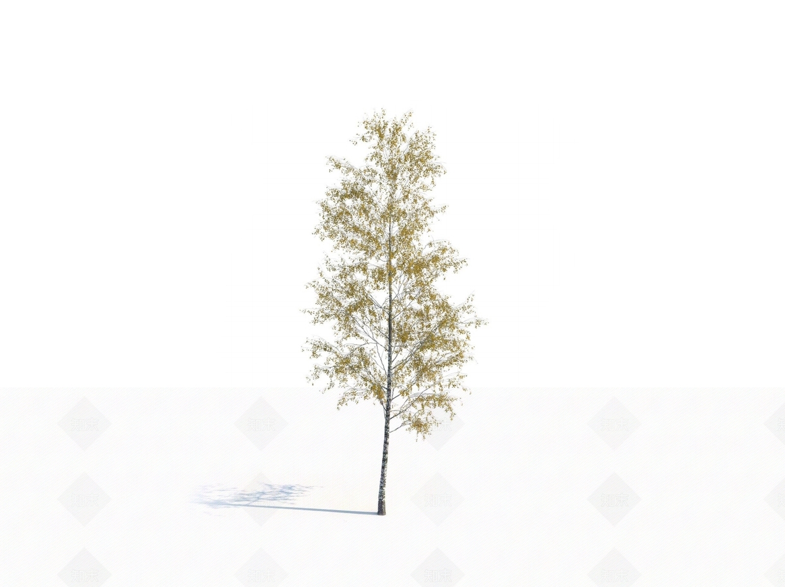乔木3D模型下载【ID:1150592146】
