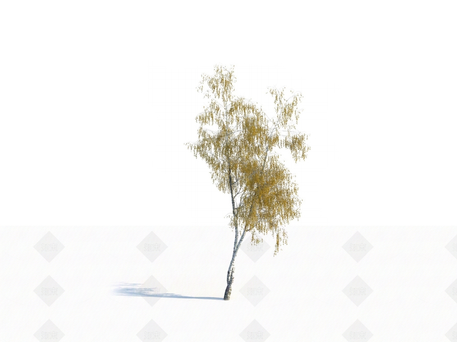 乔木3D模型下载【ID:1150592127】