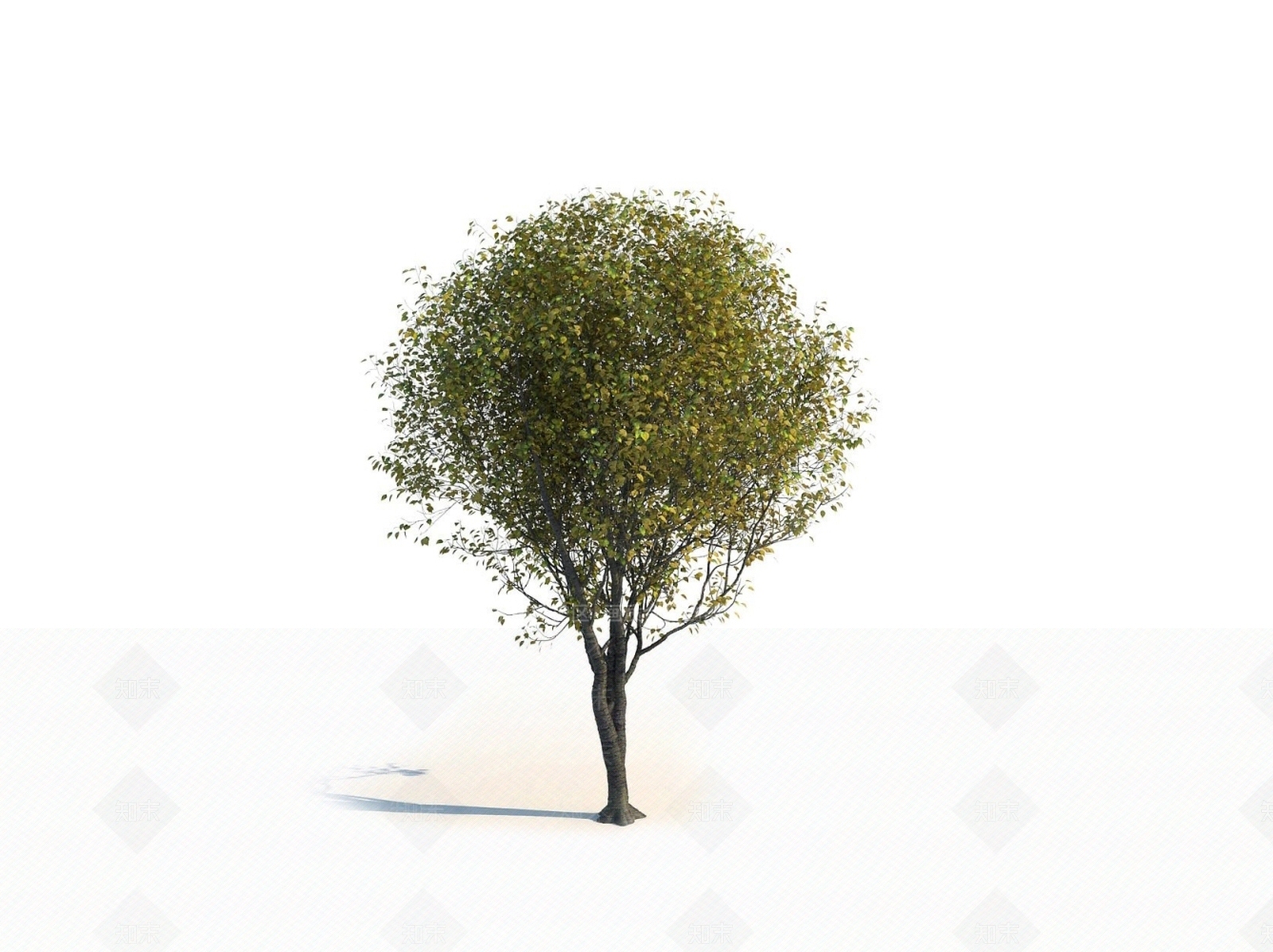 乔木3D模型下载【ID:1150596534】