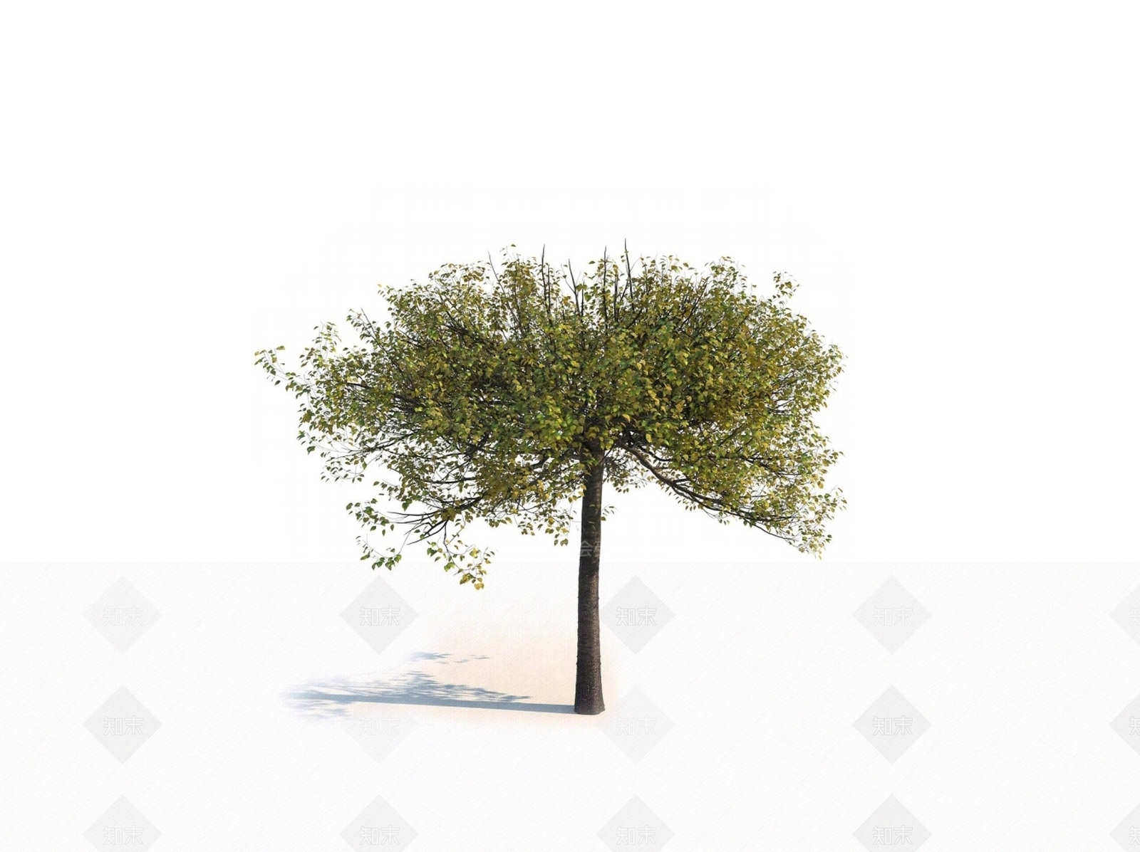 乔木3D模型下载【ID:1150596519】
