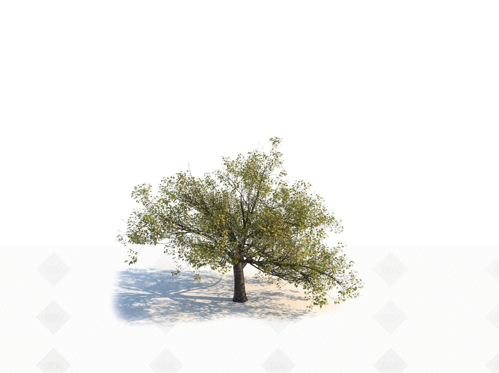 乔木3D模型下载【ID:1150596654】