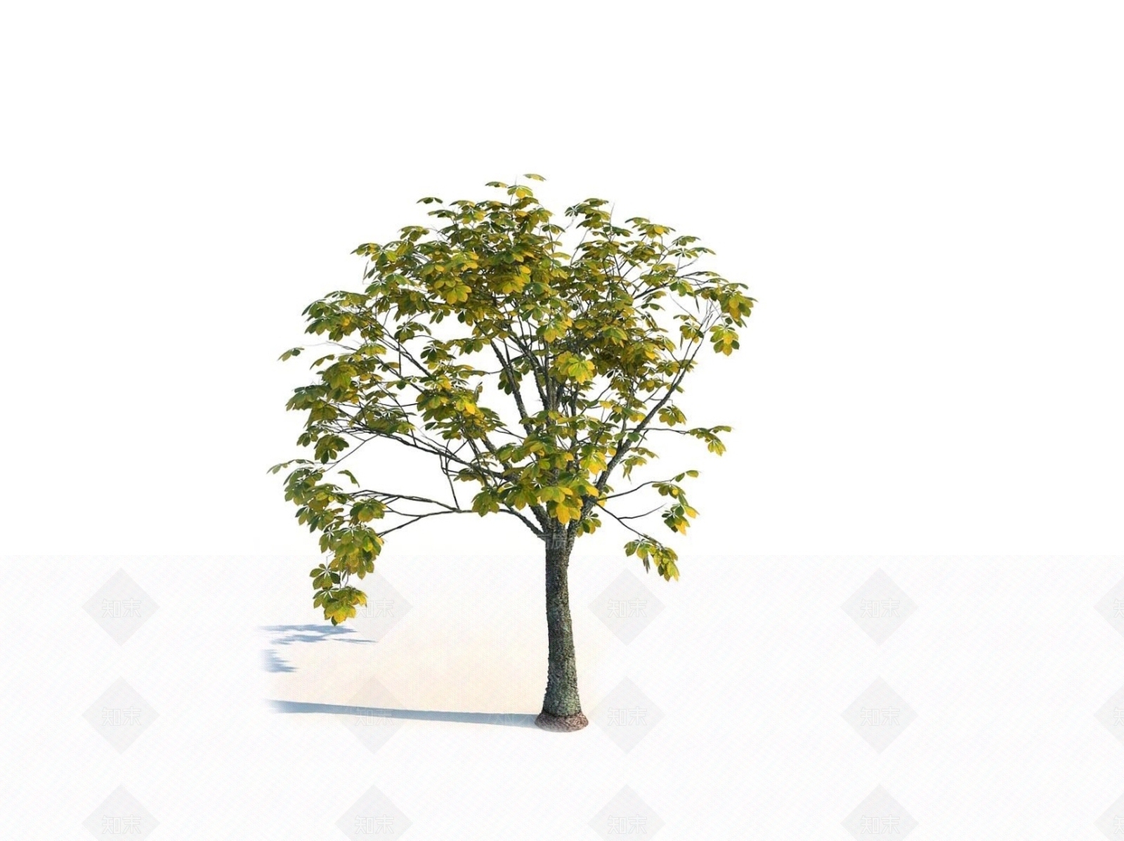 乔木3D模型下载【ID:1150596894】