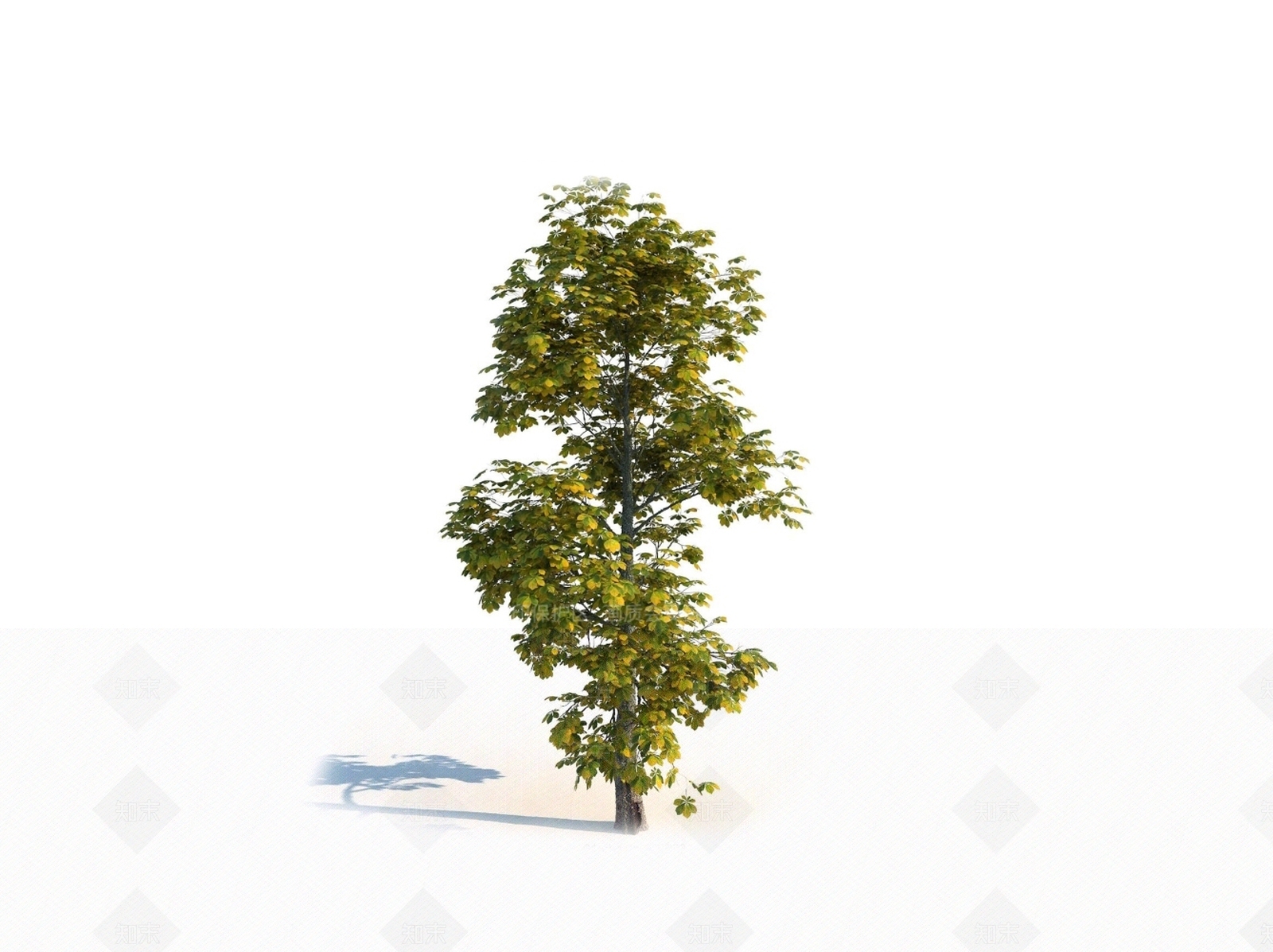 乔木3D模型下载【ID:1150596940】