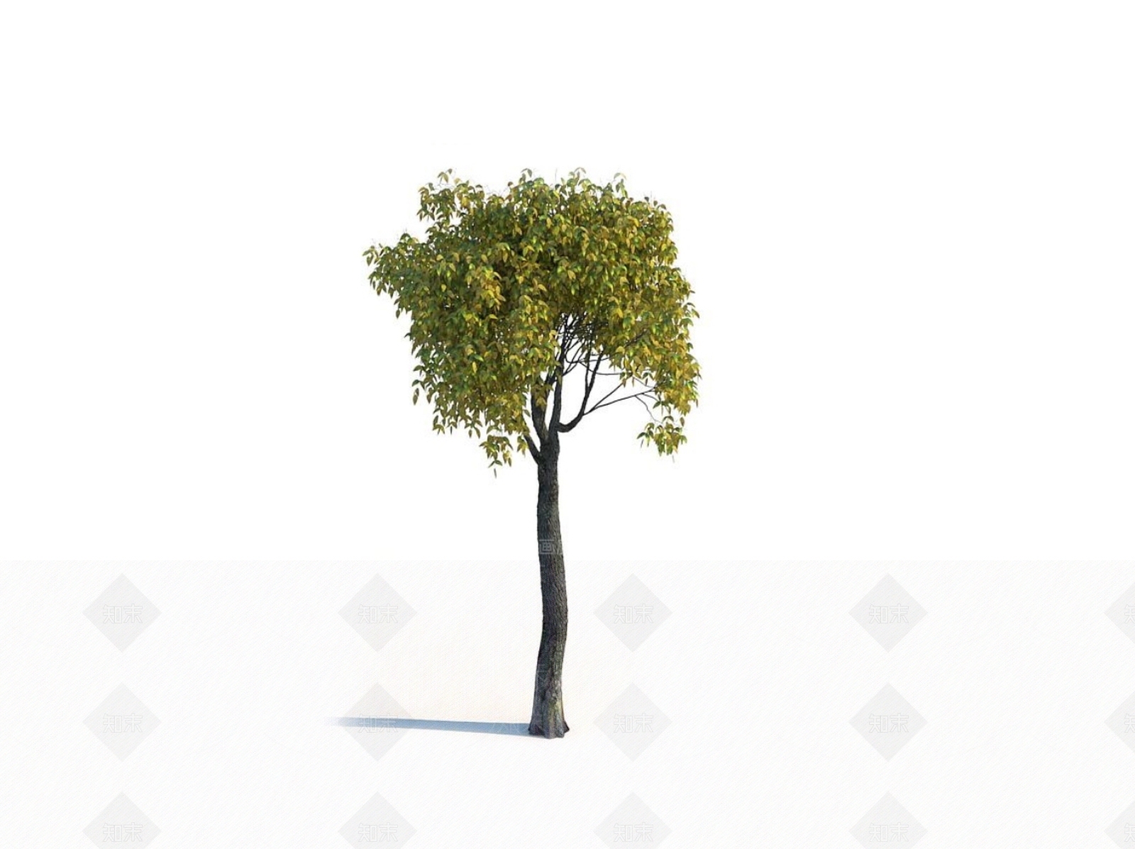 乔木3D模型下载【ID:1150597160】