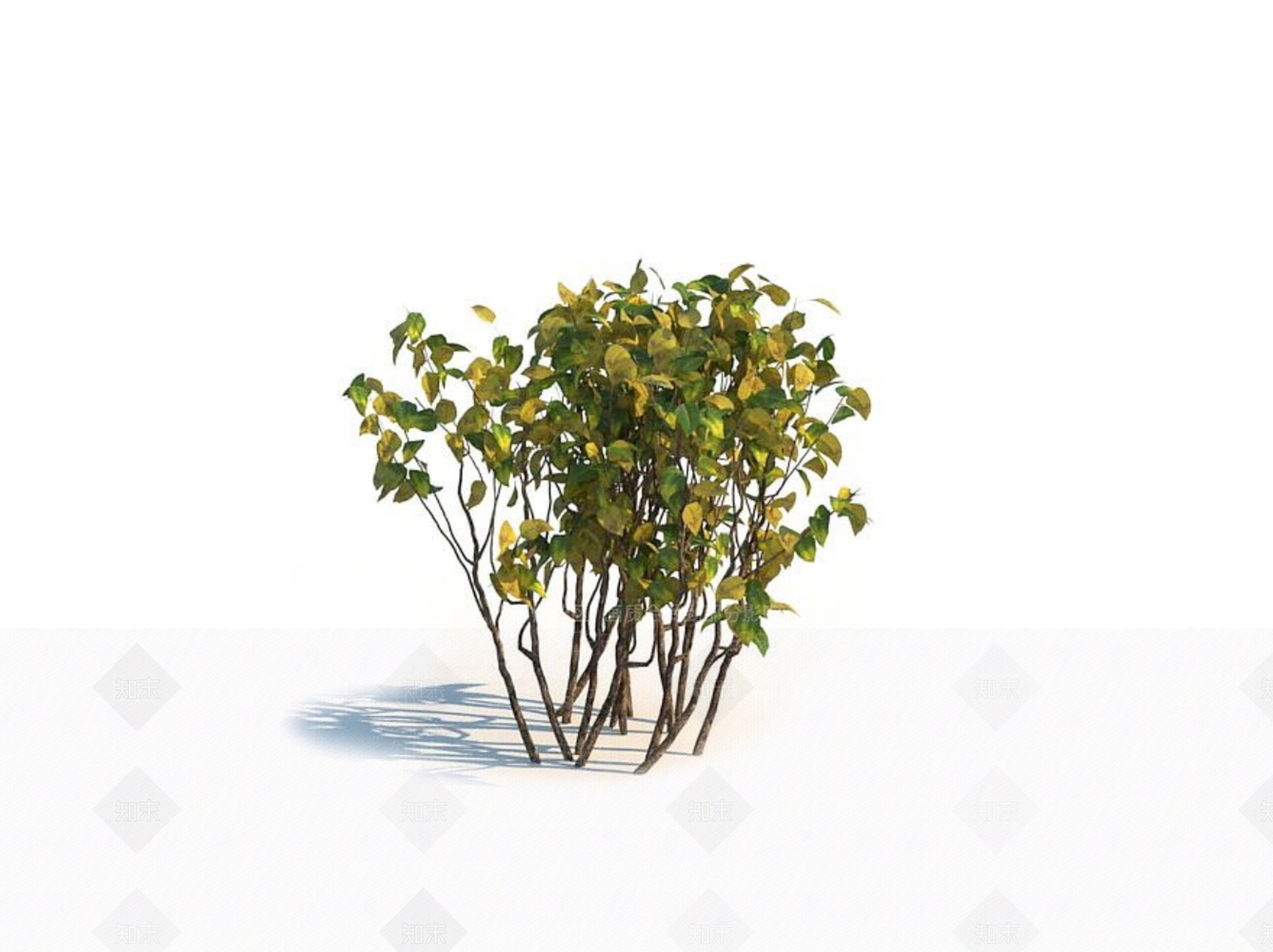 灌木3D模型下载【ID:1150597306】