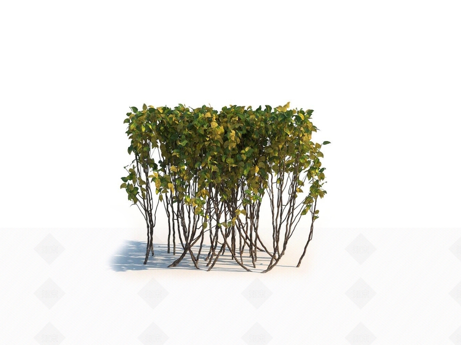 灌木3D模型下载【ID:1150597561】