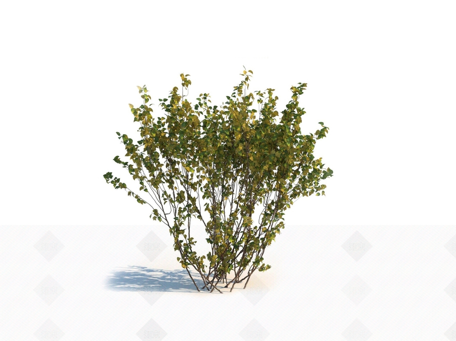 灌木3D模型下载【ID:1150597539】