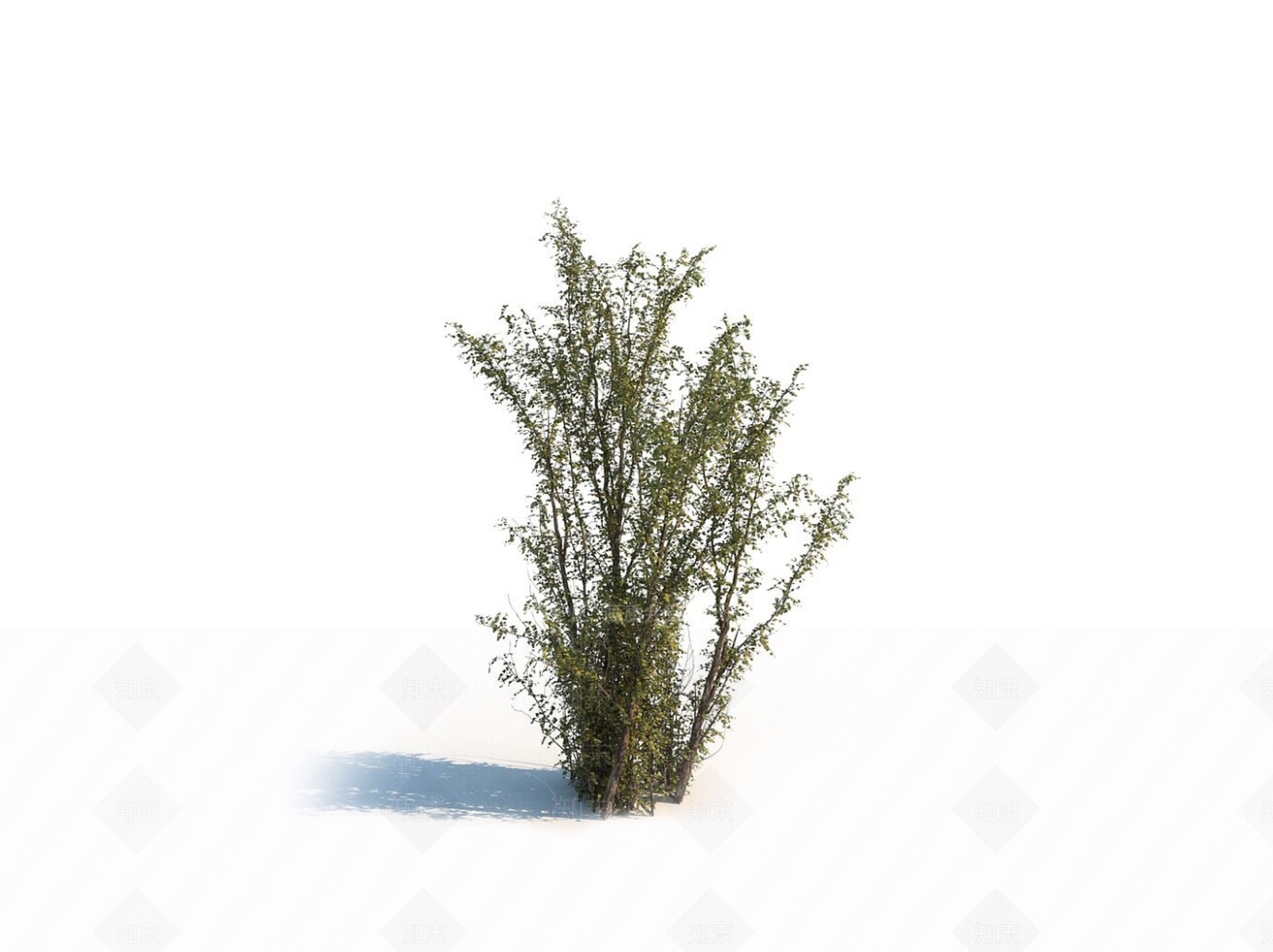 灌木3D模型下载【ID:1150597770】