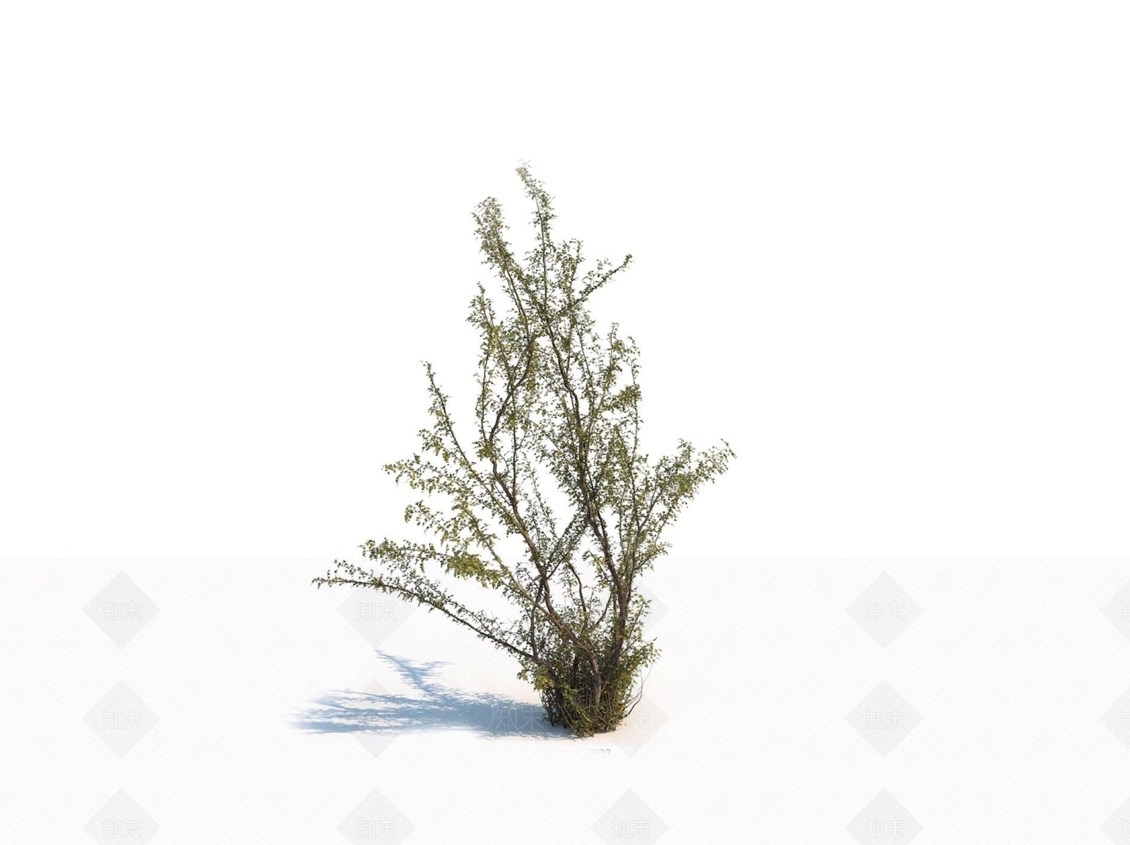 秋季灌木3D模型下载【ID:1150598299】
