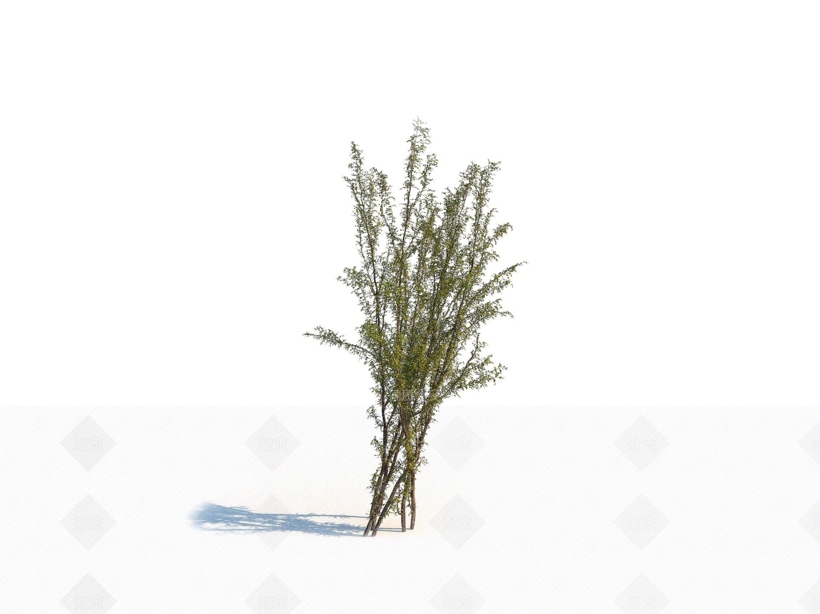 秋季灌木3D模型下载【ID:1150598385】
