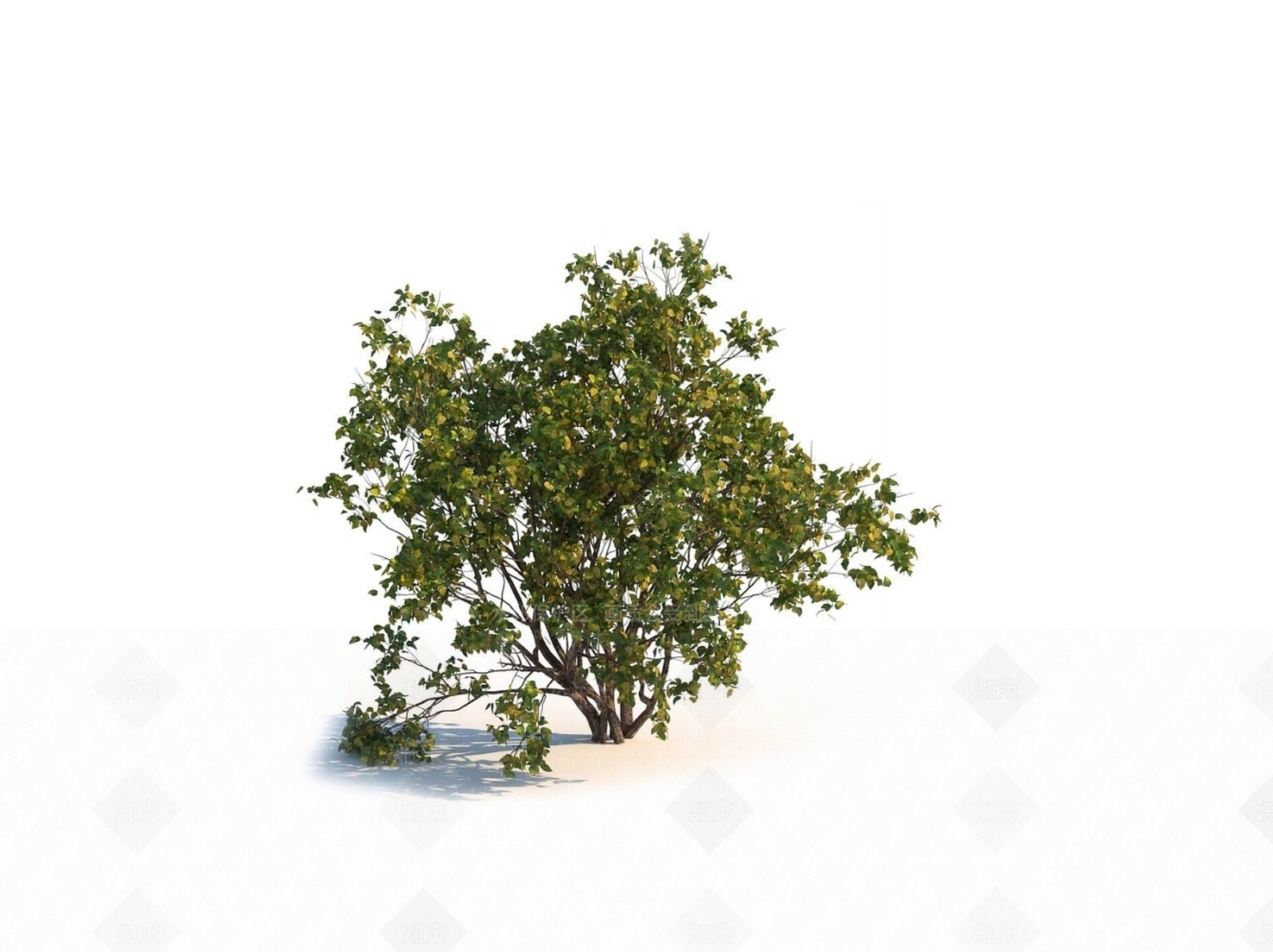 灌木3D模型下载【ID:1150598501】