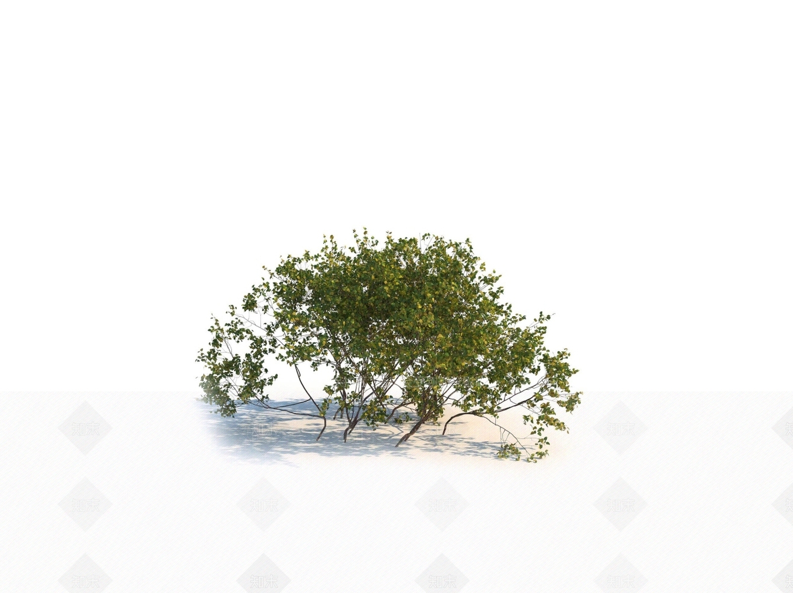 灌木3D模型下载【ID:1150598575】