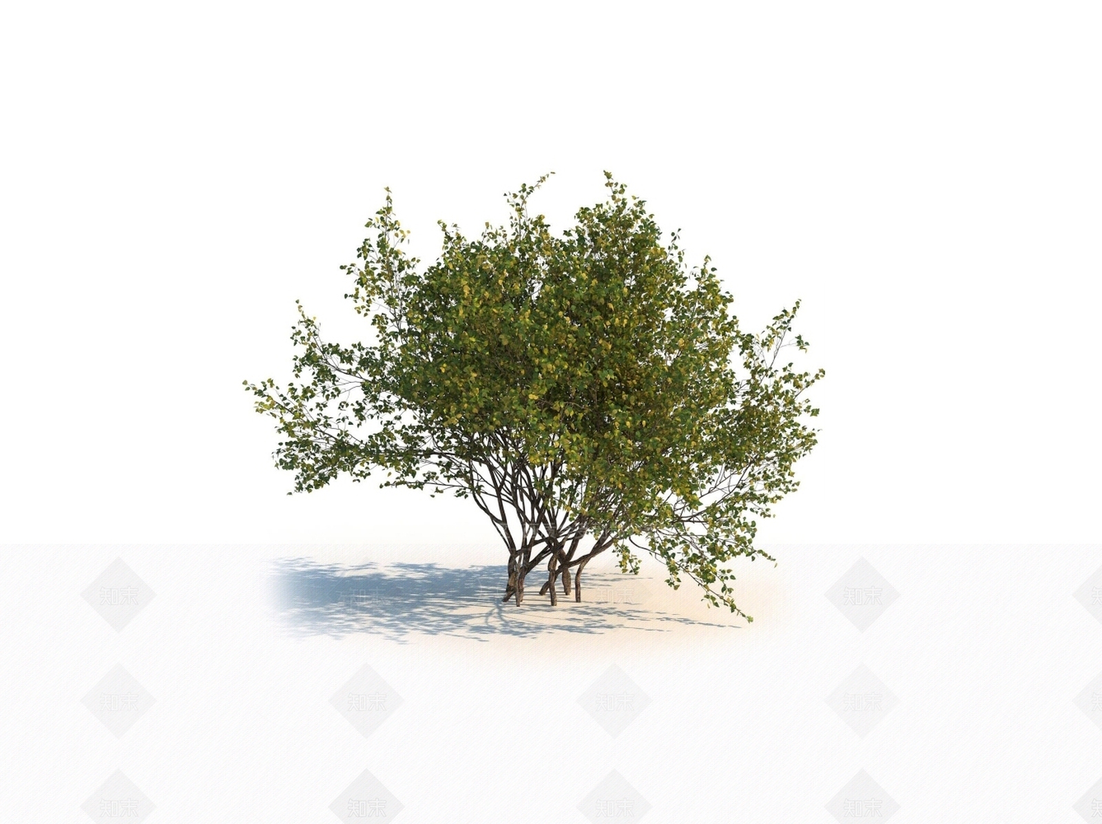 灌木3D模型下载【ID:1150598654】