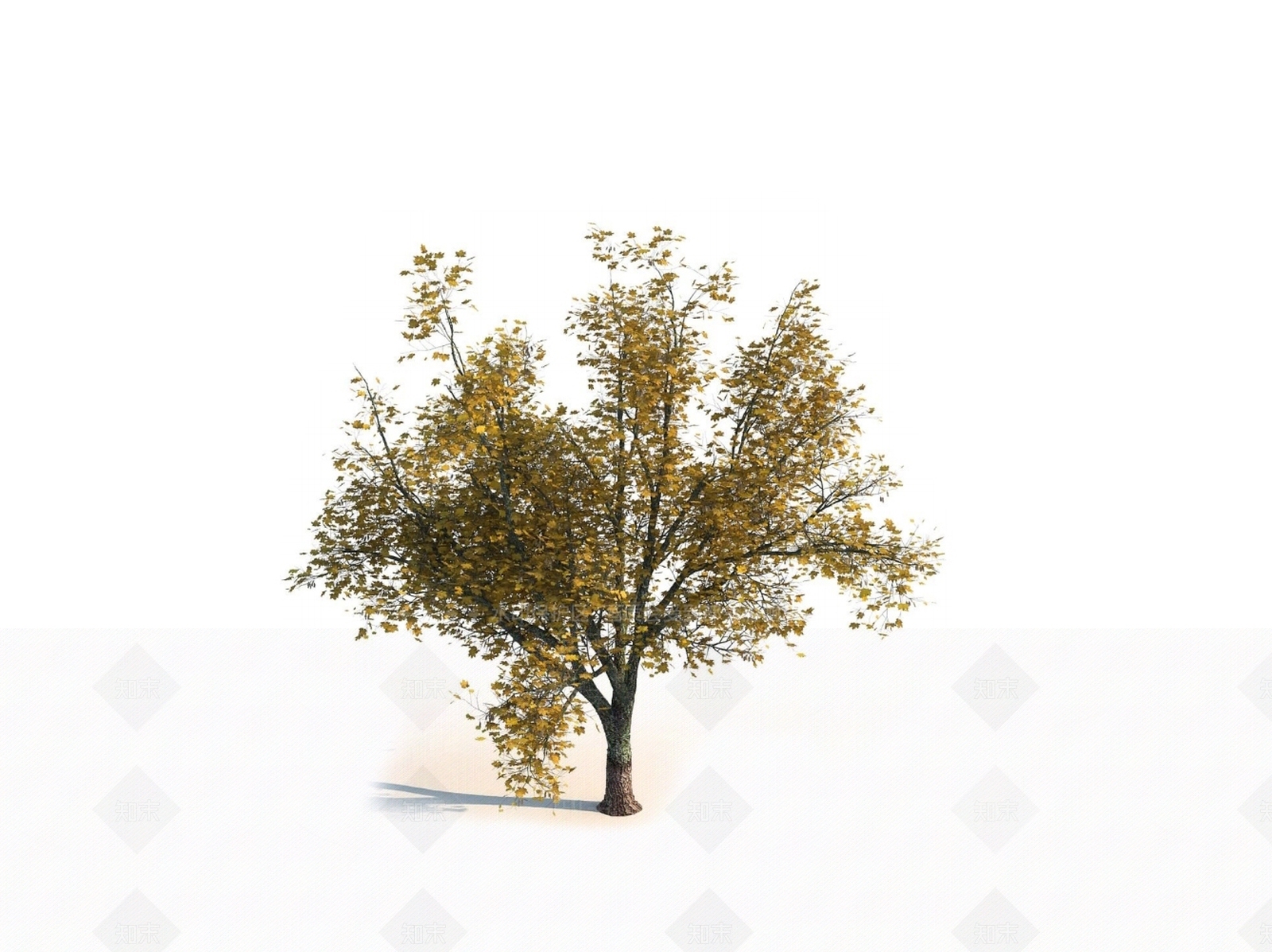 乔木3D模型下载【ID:1150603884】