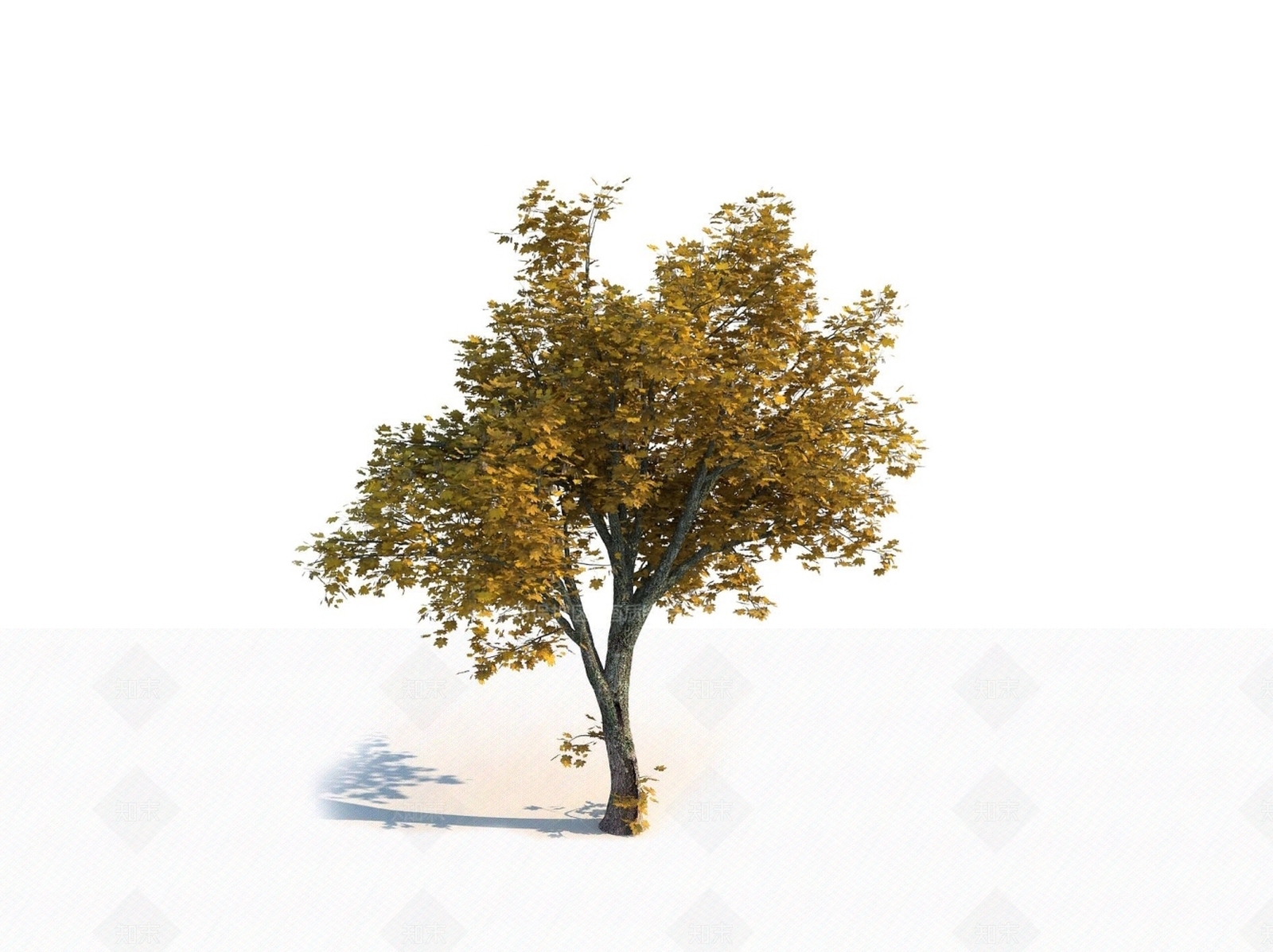 乔木3D模型下载【ID:1150603920】