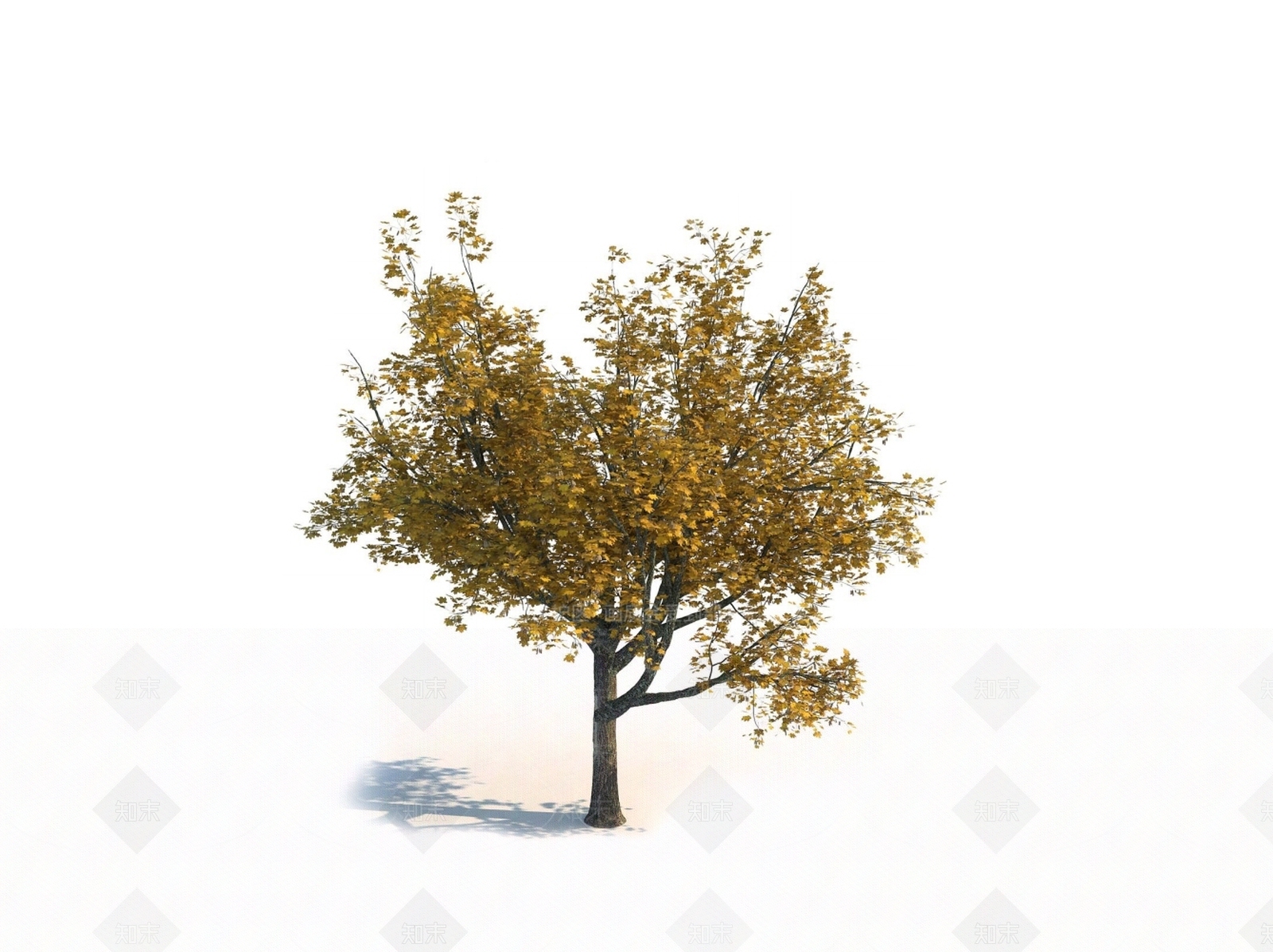 乔木3D模型下载【ID:1150603994】