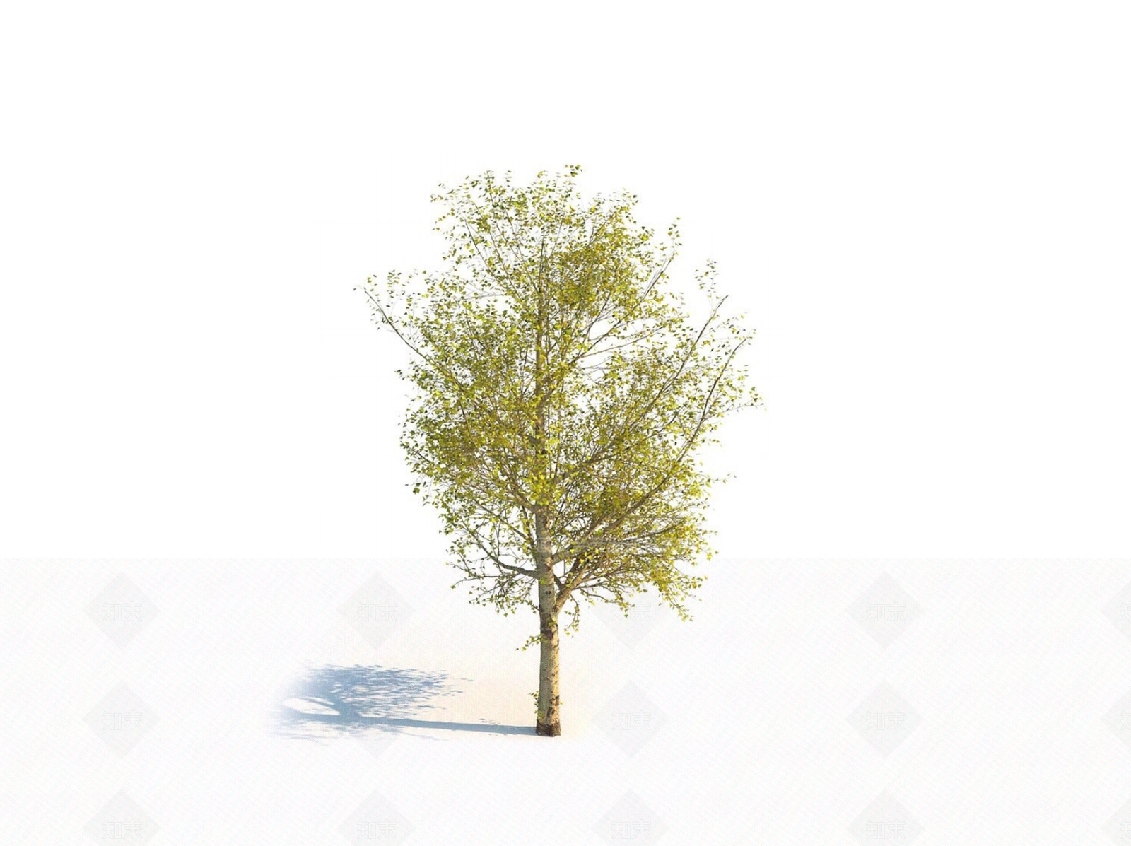 乔木3D模型下载【ID:1150604173】