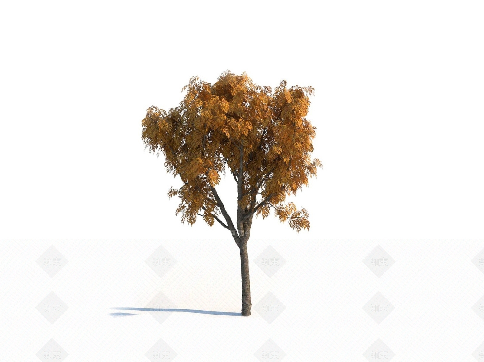 乔木3D模型下载【ID:1150604405】