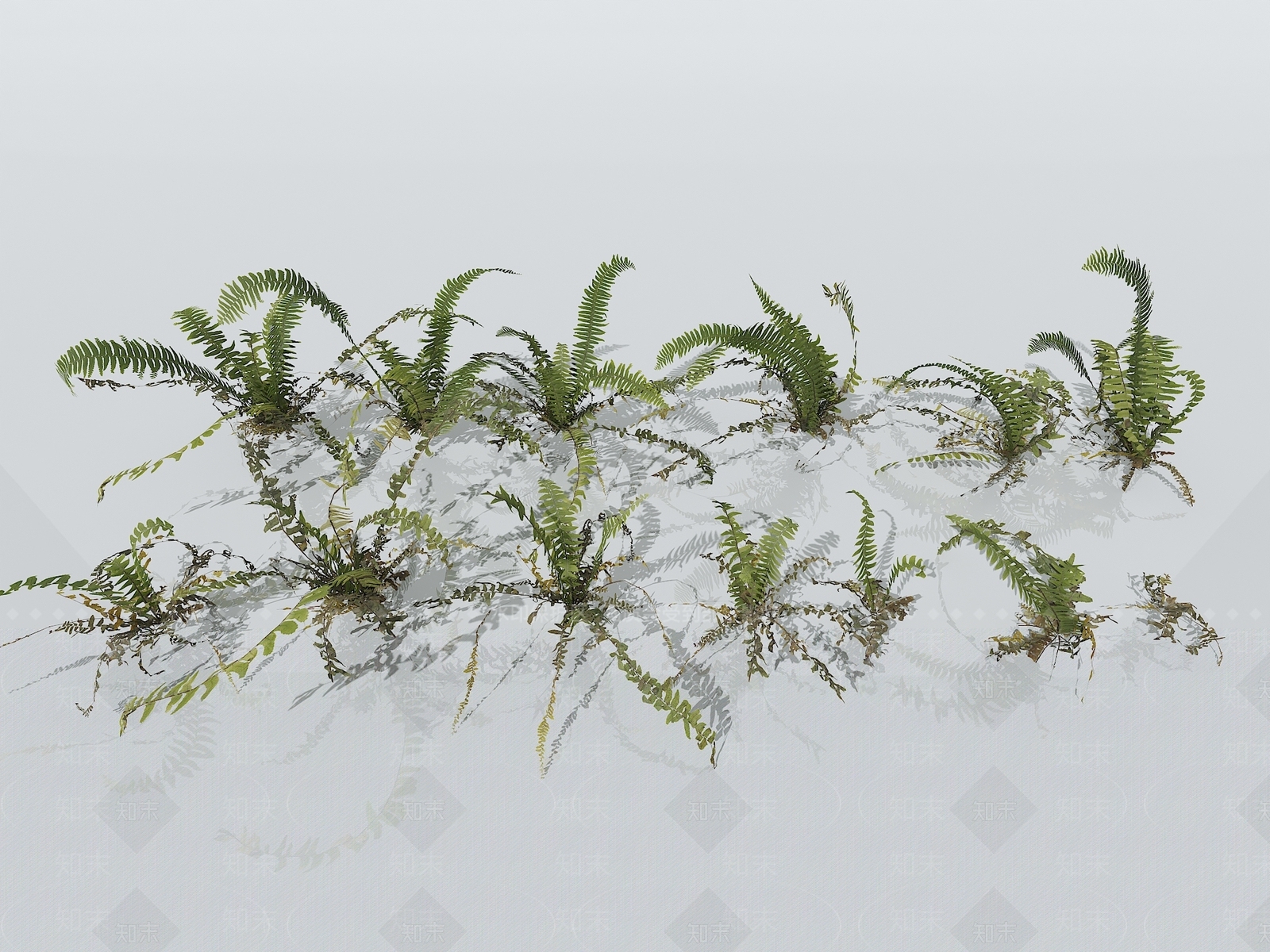 草3D模型下载【ID:1150665727】
