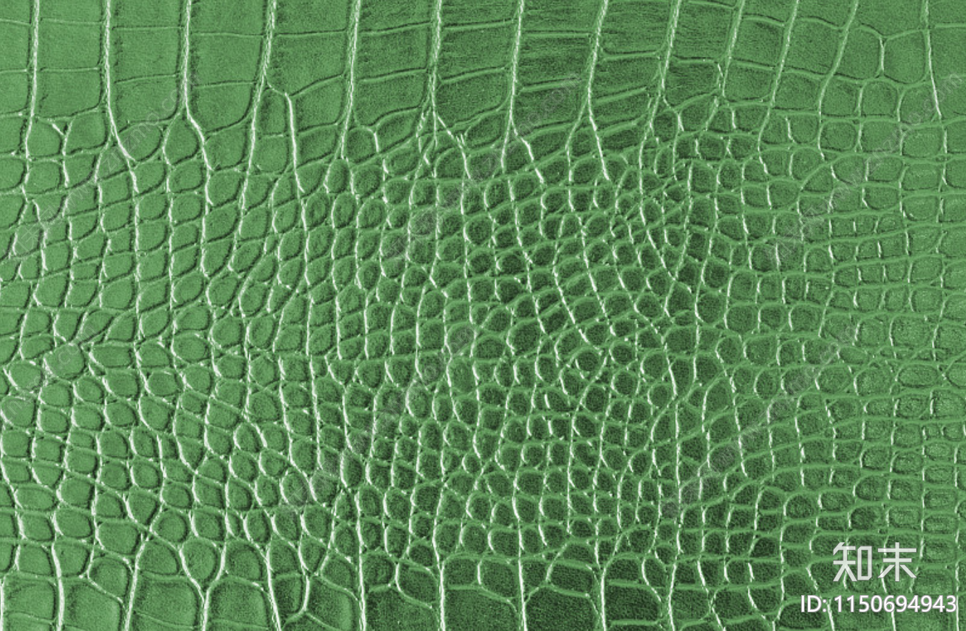 绿色鳄鱼皮贴图下载【ID:1150694943】