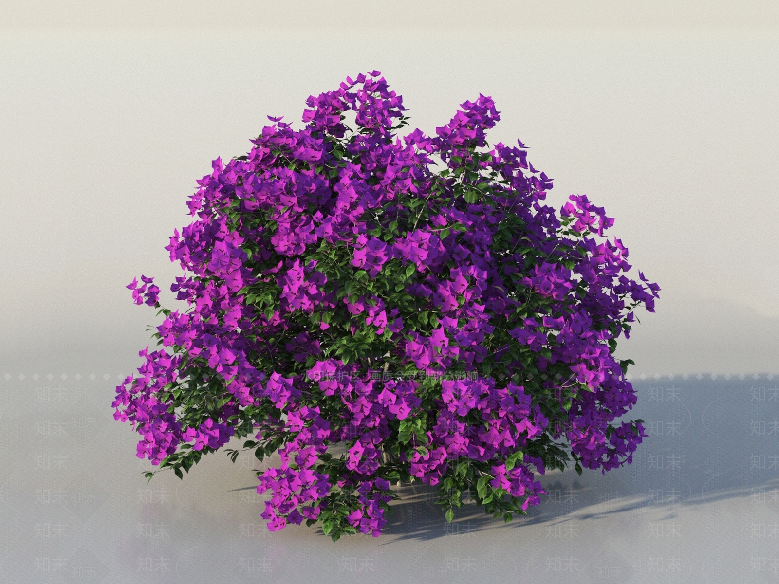 叶子花3D模型下载【ID:1150705195】