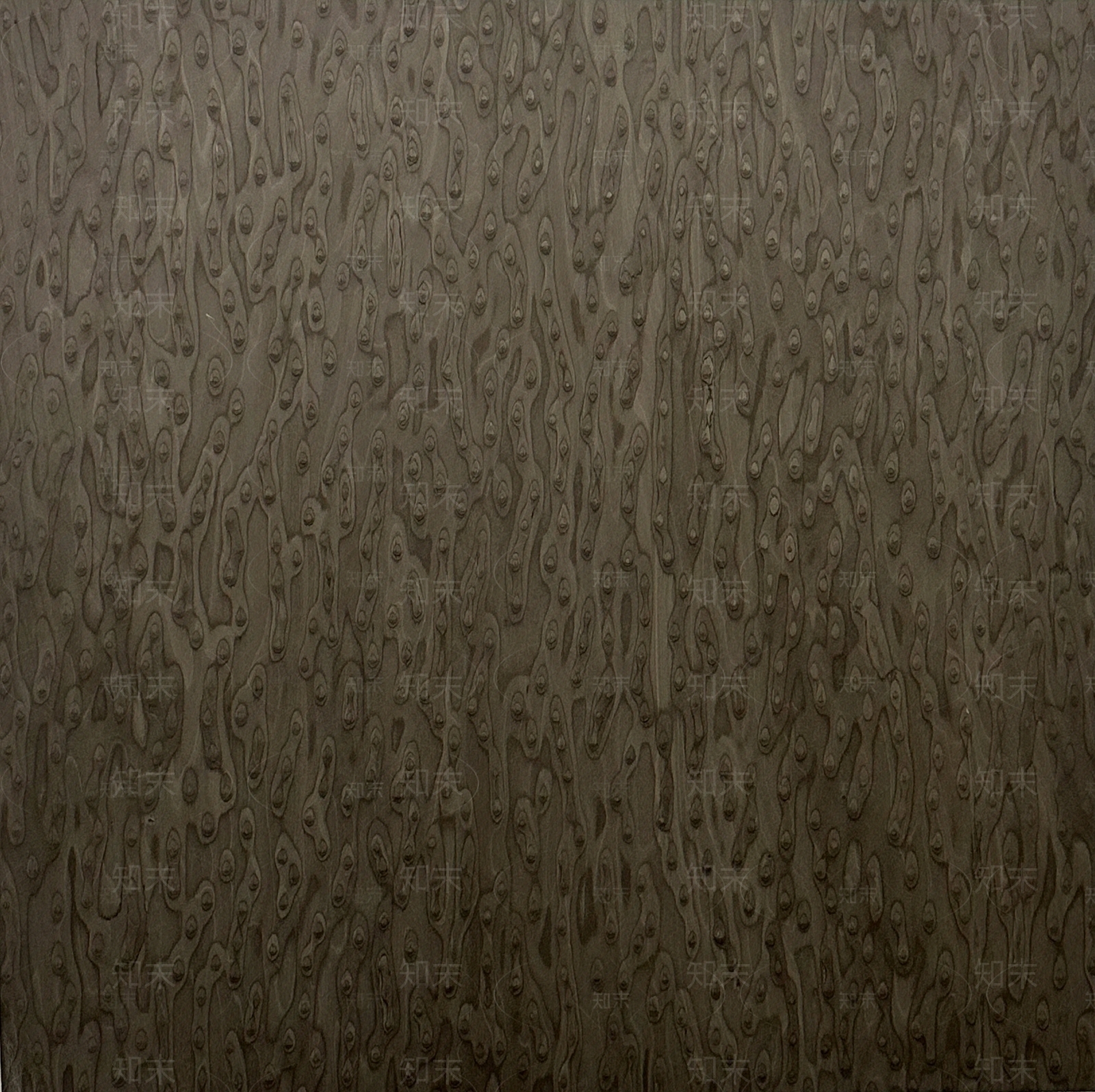 梵品现代猫眼黑木纹木饰面贴图下载【ID:1150729129】