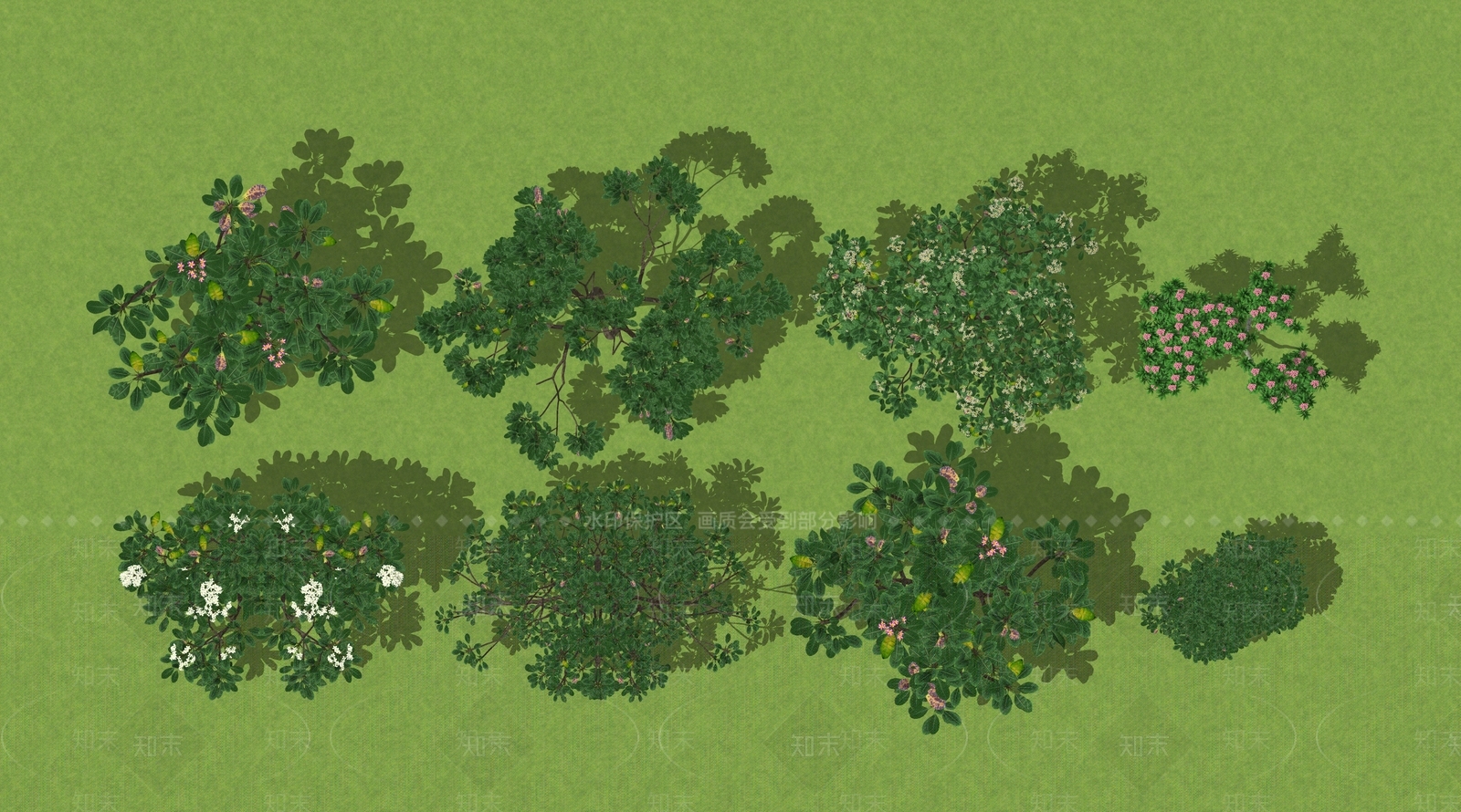 鸡蛋花SU模型下载【ID:1150731338】