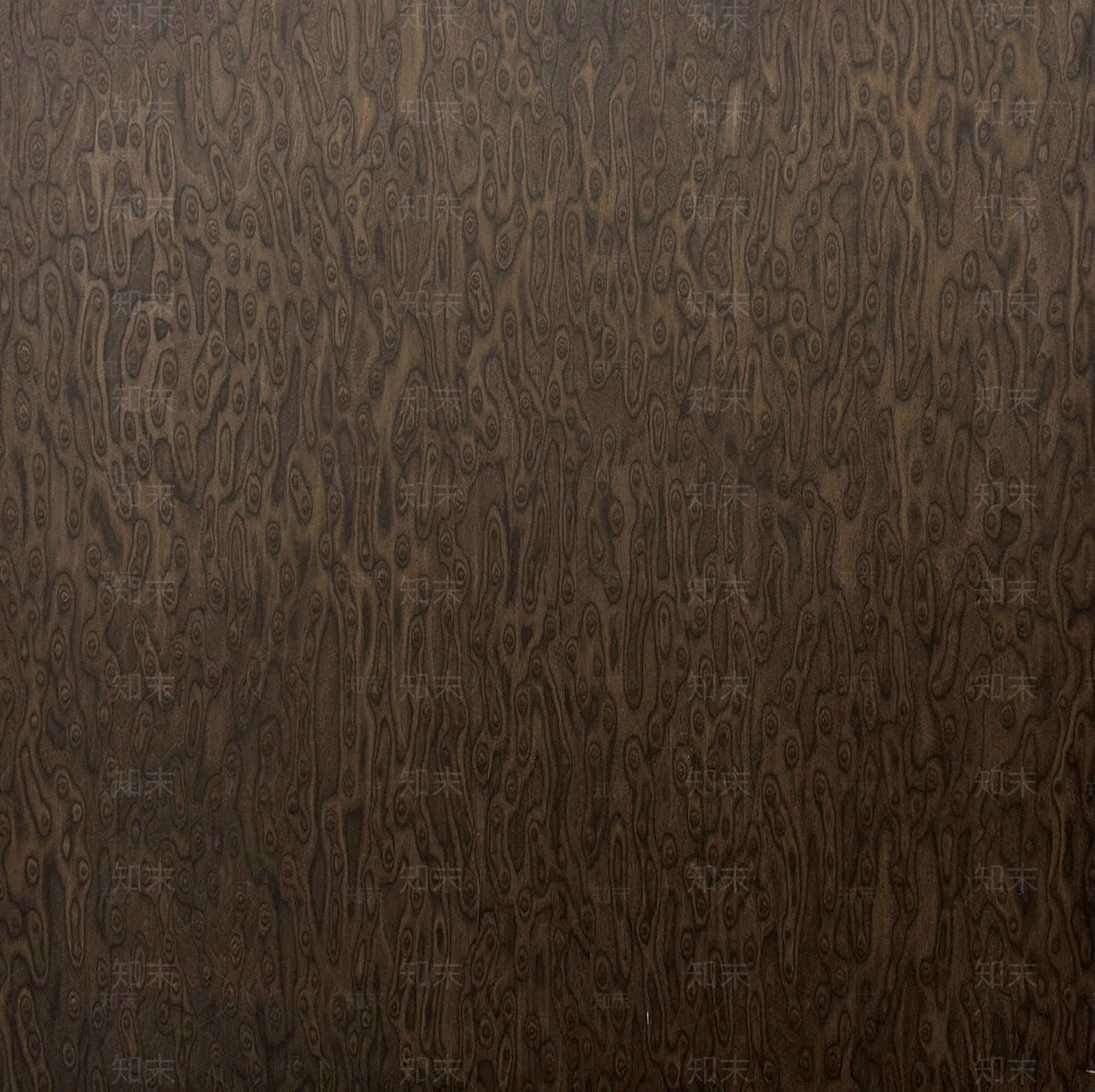 梵品现代猫眼胡桃木木纹贴图下载【ID:1150731196】