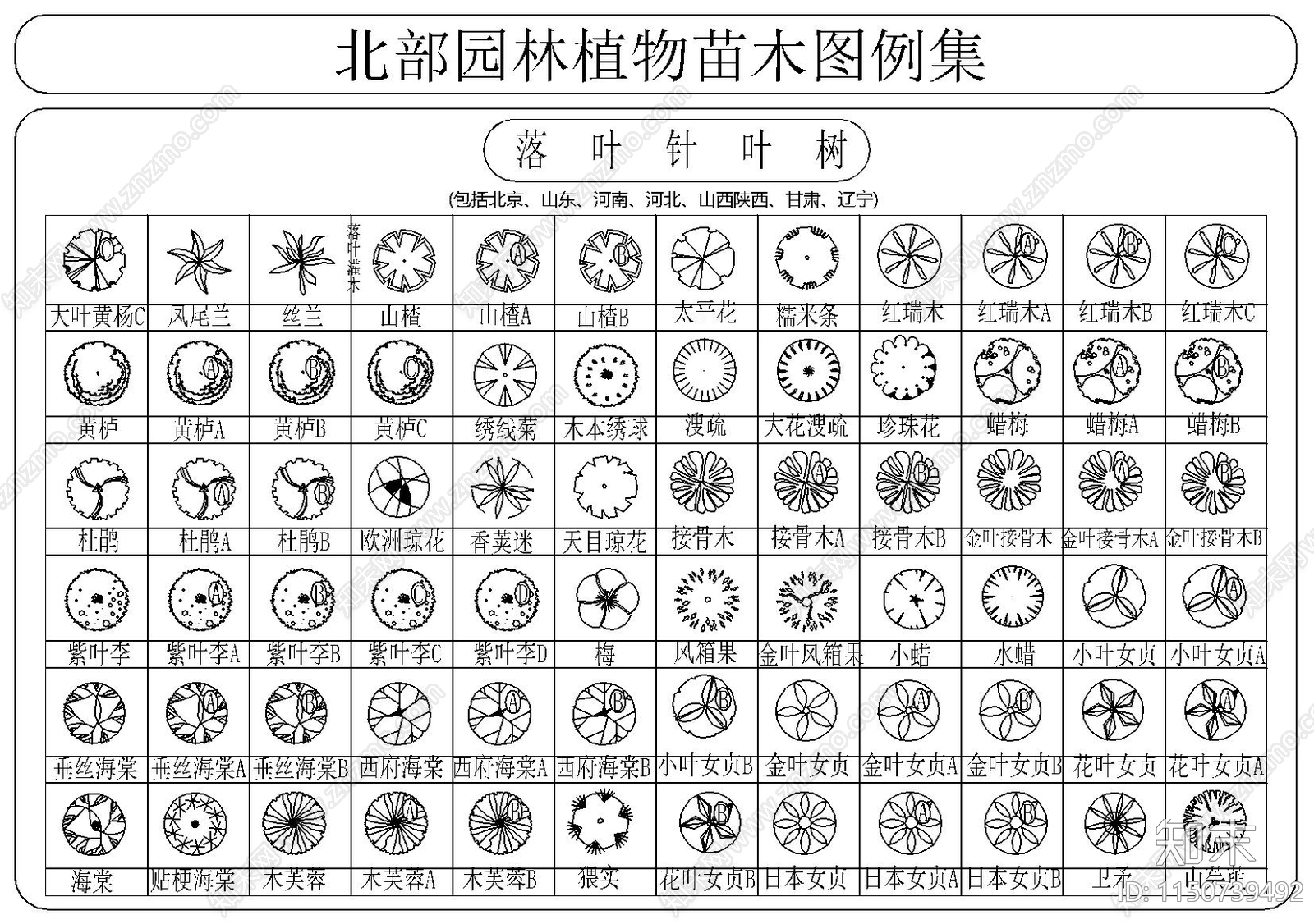 北部园林植物苗木图例集施工图下载【ID:1150739492】