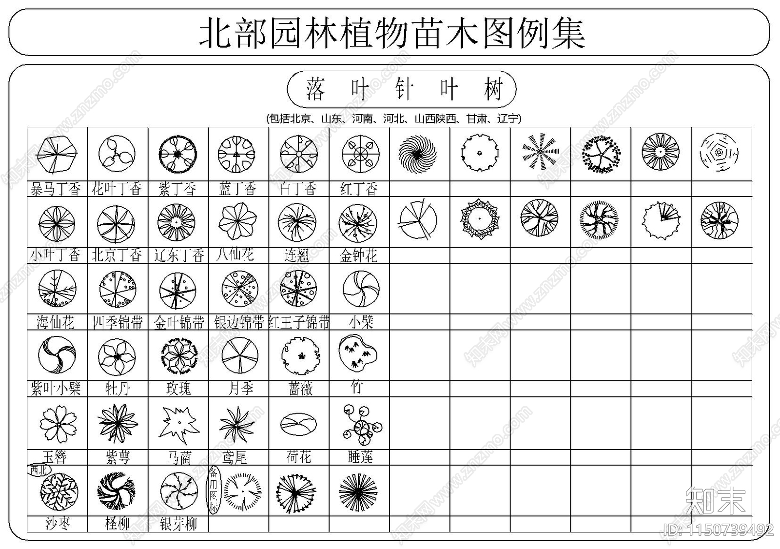 北部园林植物苗木图例集施工图下载【ID:1150739492】