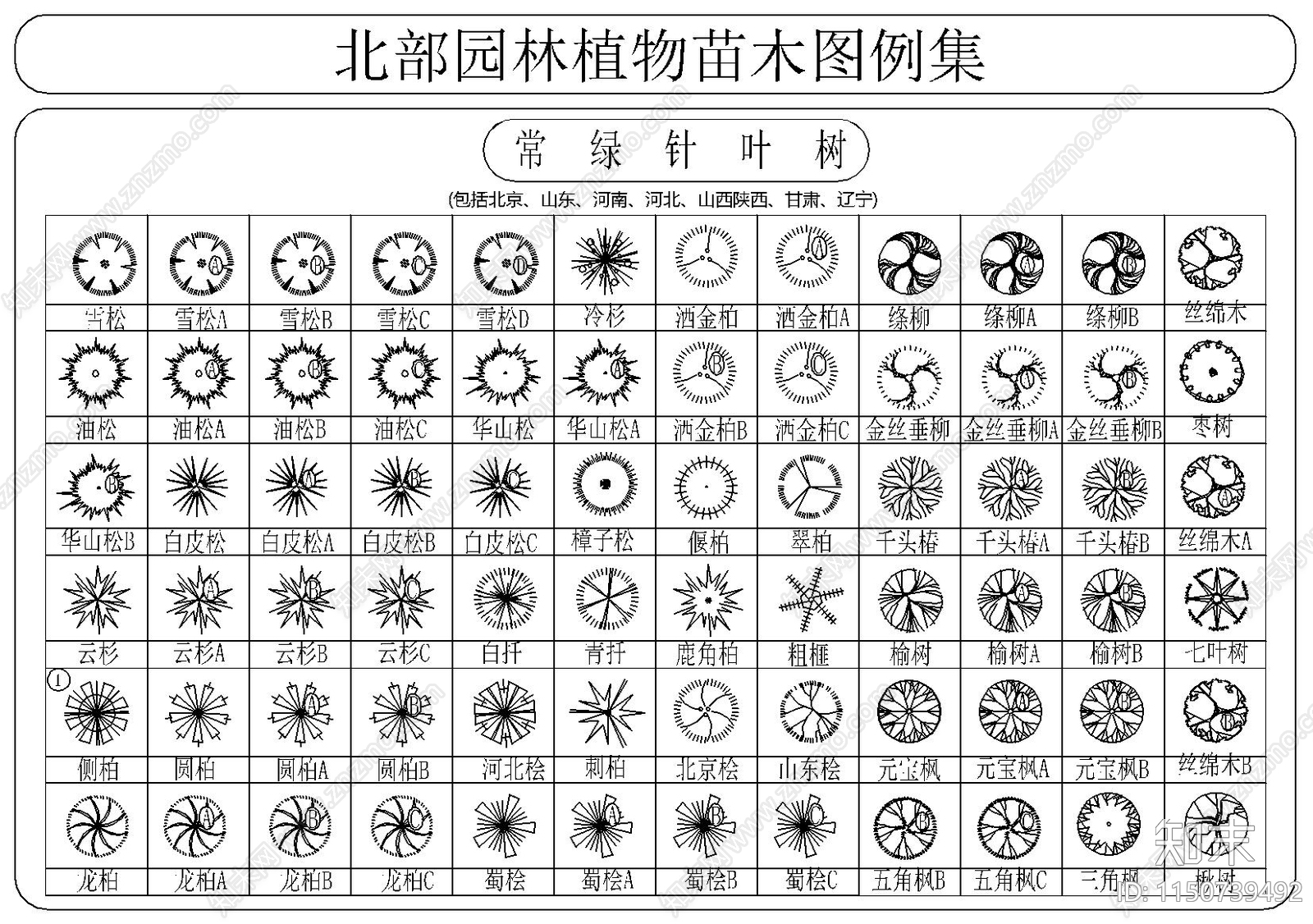 北部园林植物苗木图例集施工图下载【ID:1150739492】