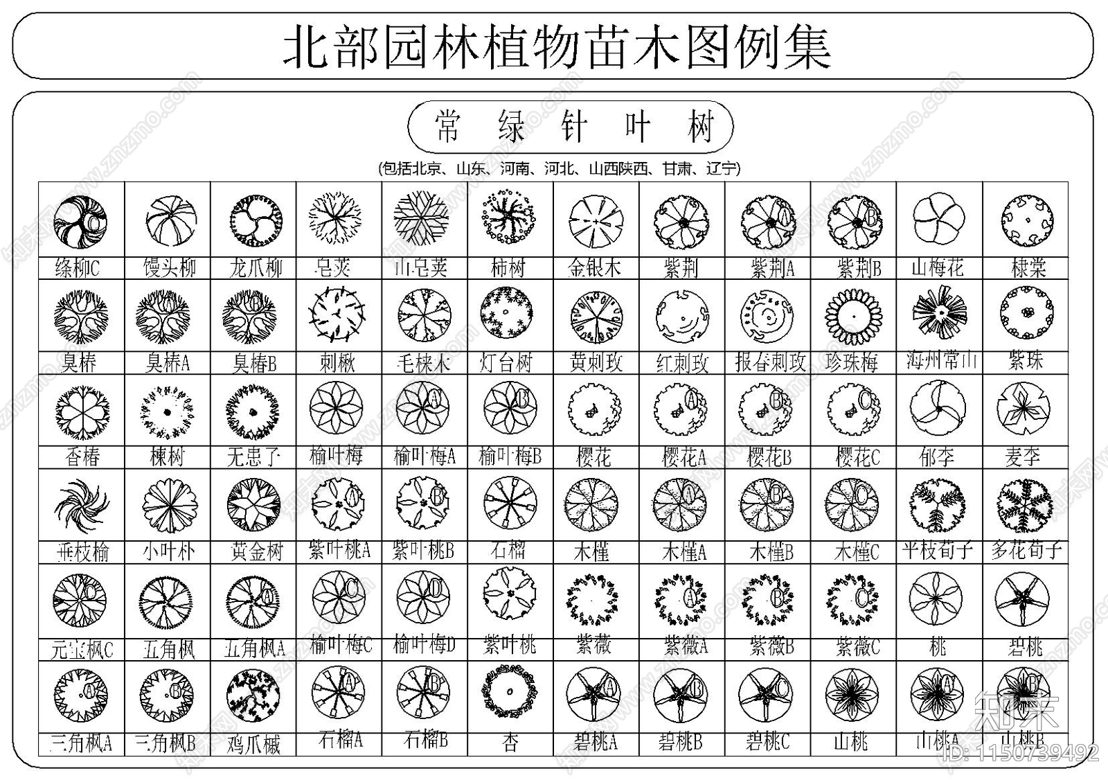 北部园林植物苗木图例集施工图下载【ID:1150739492】