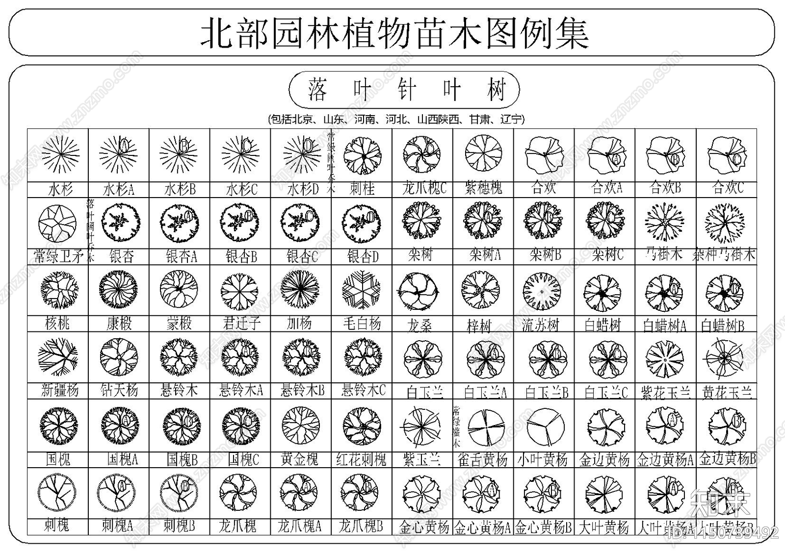 北部园林植物苗木图例集施工图下载【ID:1150739492】