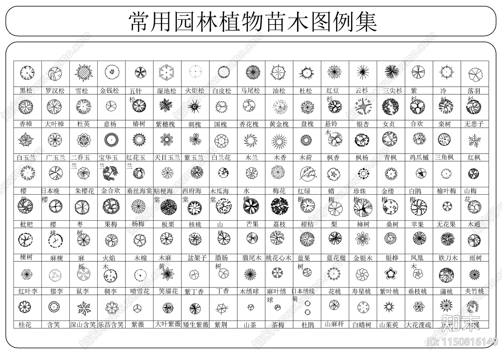 常用园林植物苗木图例集施工图下载【ID:1150816149】