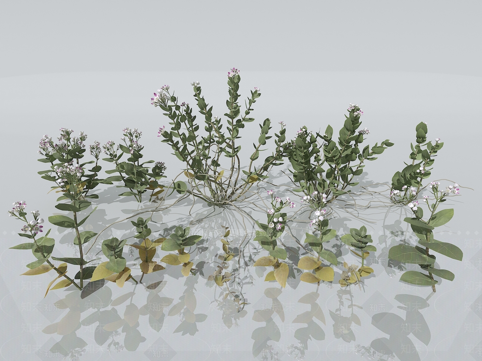 草3D模型下载【ID:1150762536】