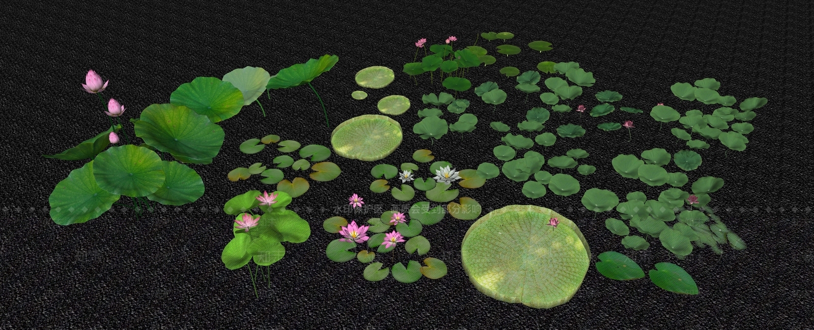 水生植物SU模型下载【ID:1150774083】