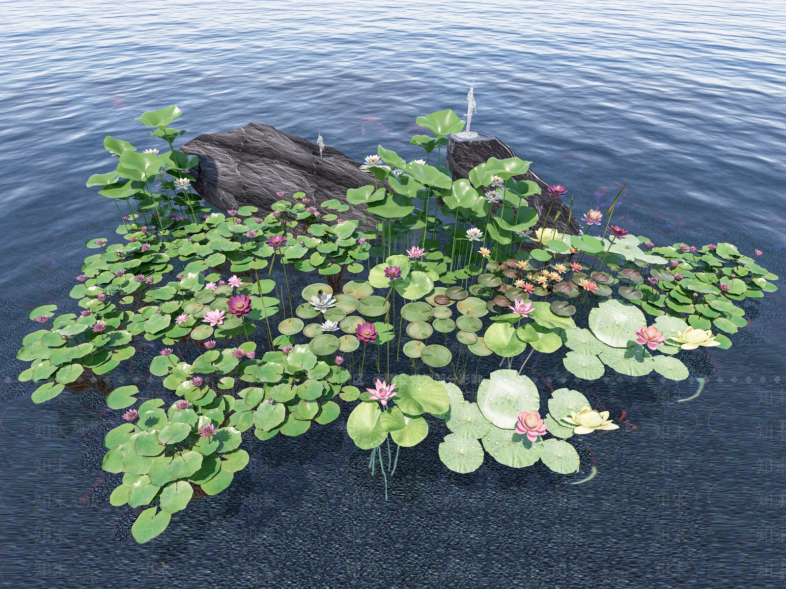 水生植物SU模型下载【ID:1150774129】