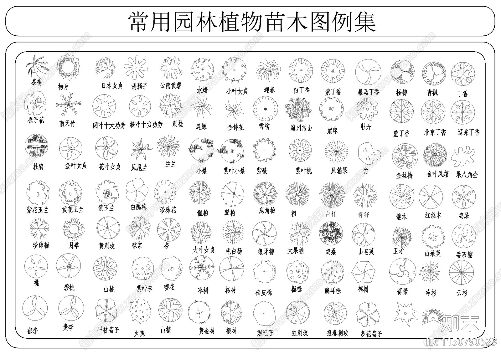 常用园林植物苗木图例集施工图下载【ID:1150790529】