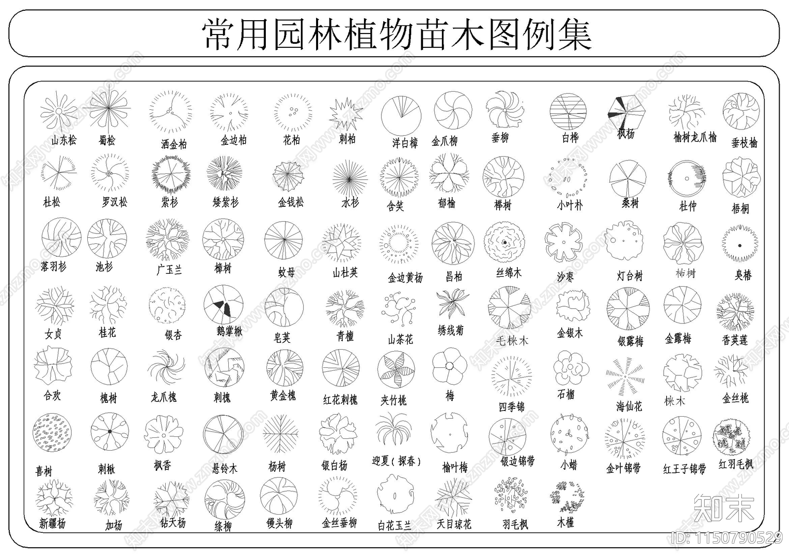 常用园林植物苗木图例集施工图下载【ID:1150790529】