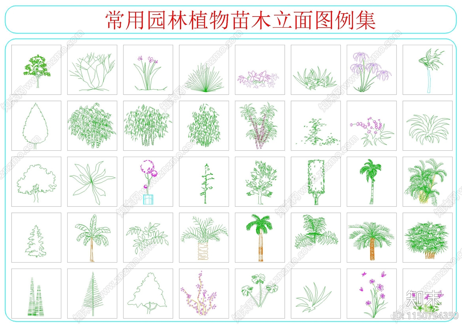 常用园林植物苗木立面图例集施工图下载【ID:1150794350】