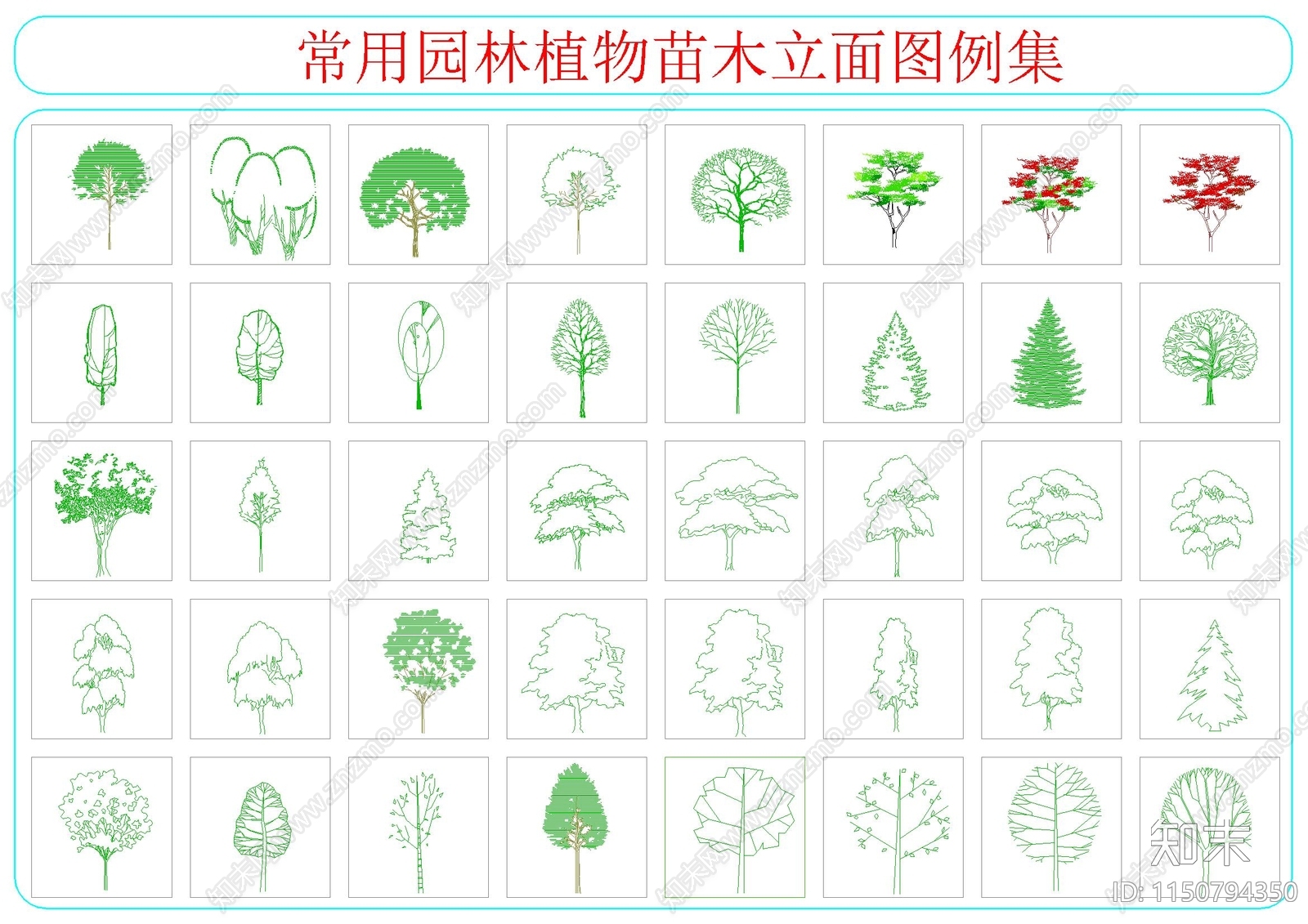 常用园林植物苗木立面图例集施工图下载【ID:1150794350】