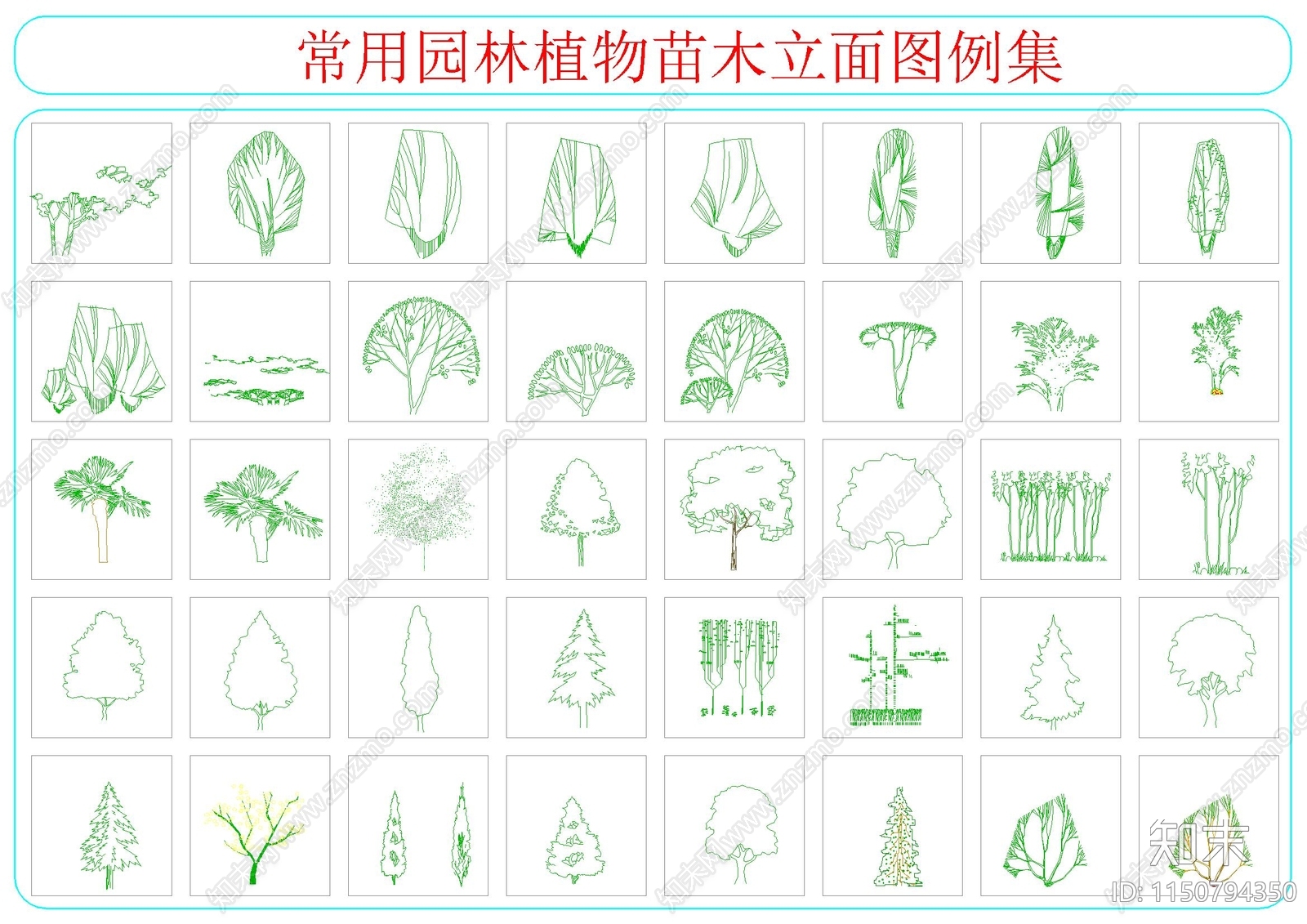 常用园林植物苗木立面图例集施工图下载【ID:1150794350】