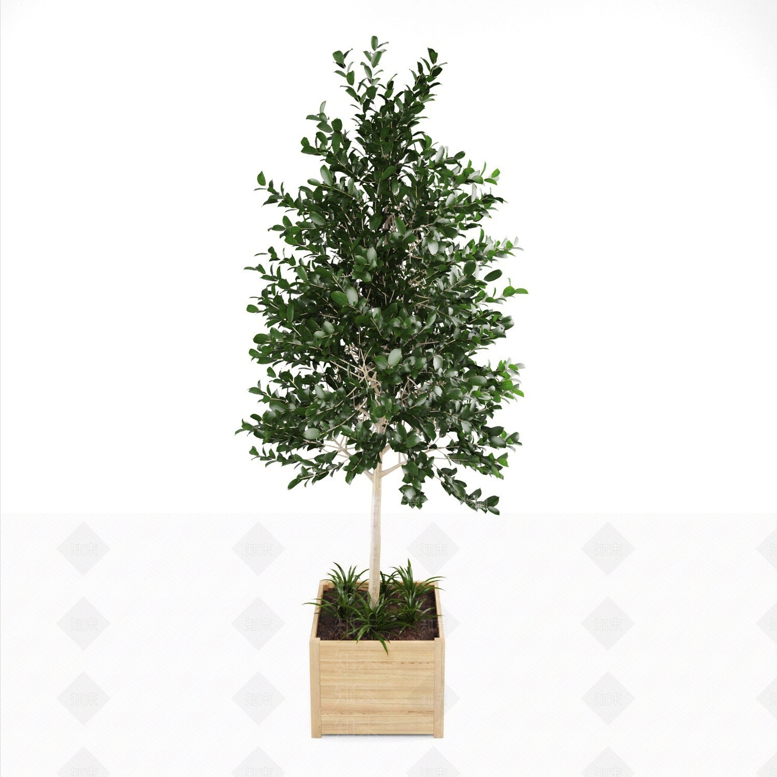 乔木3D模型下载【ID:1150800026】