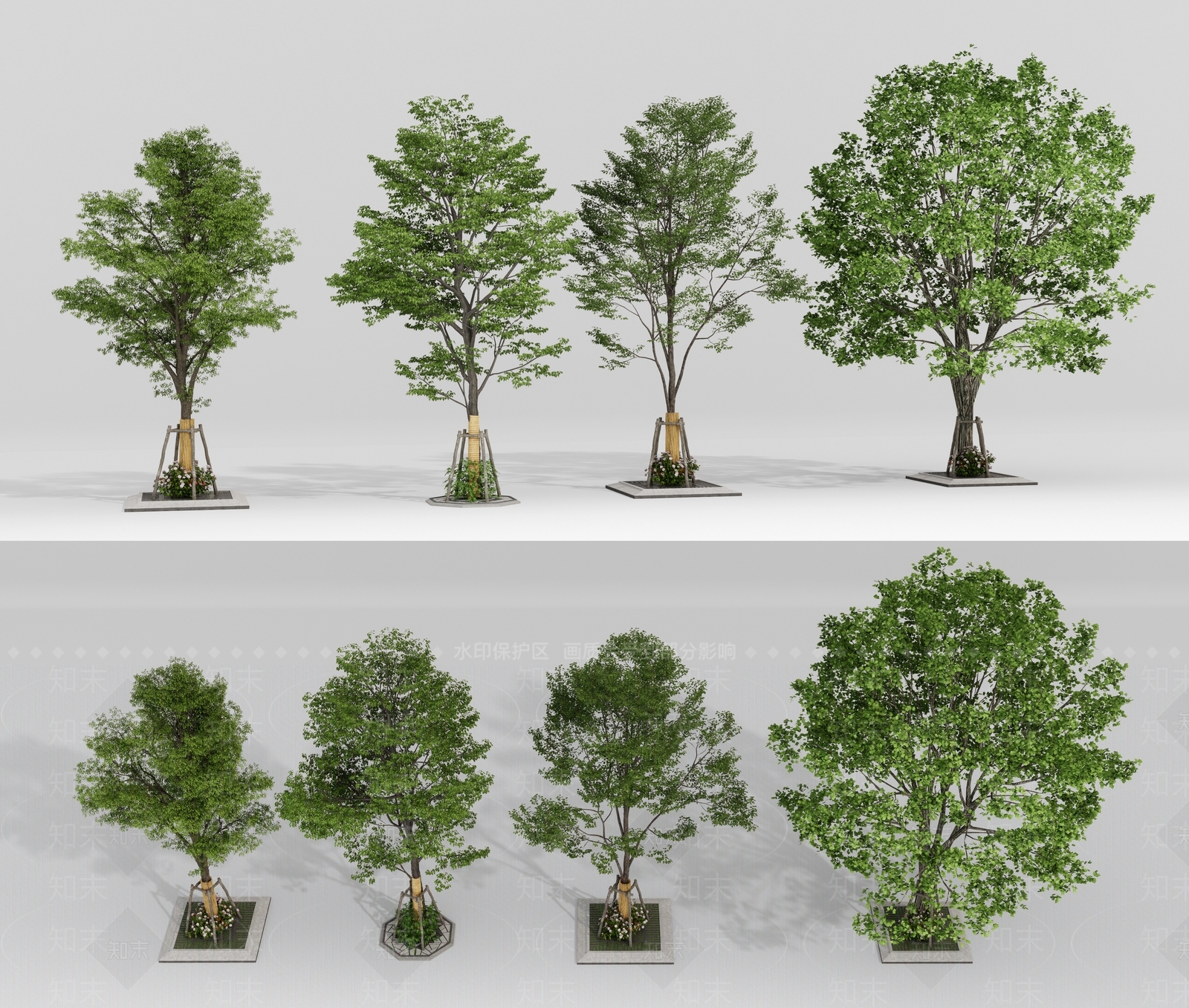 行道树SU模型下载【ID:1150805869】