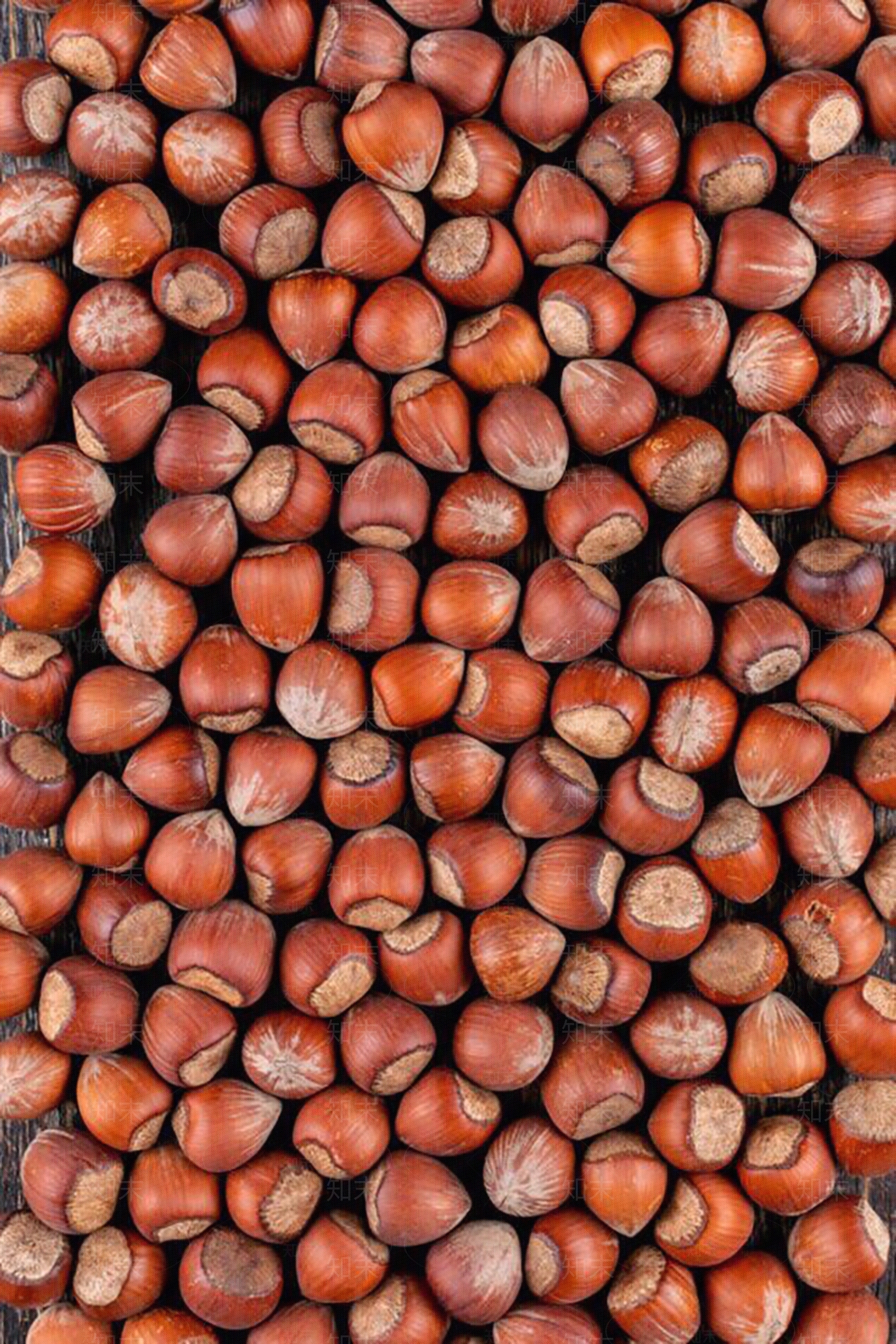 板栗食物美食平铺贴图下载【ID:1150805769】