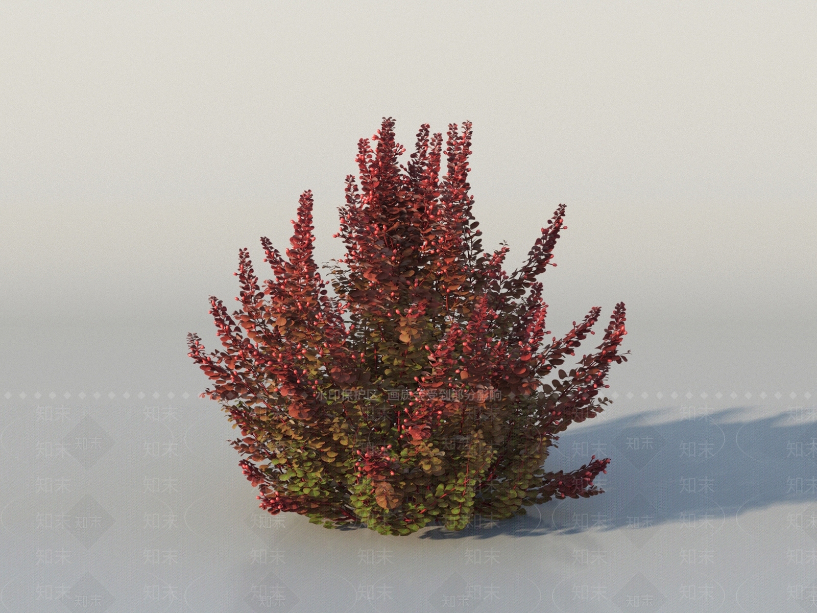 灌木3D模型下载【ID:1150860449】