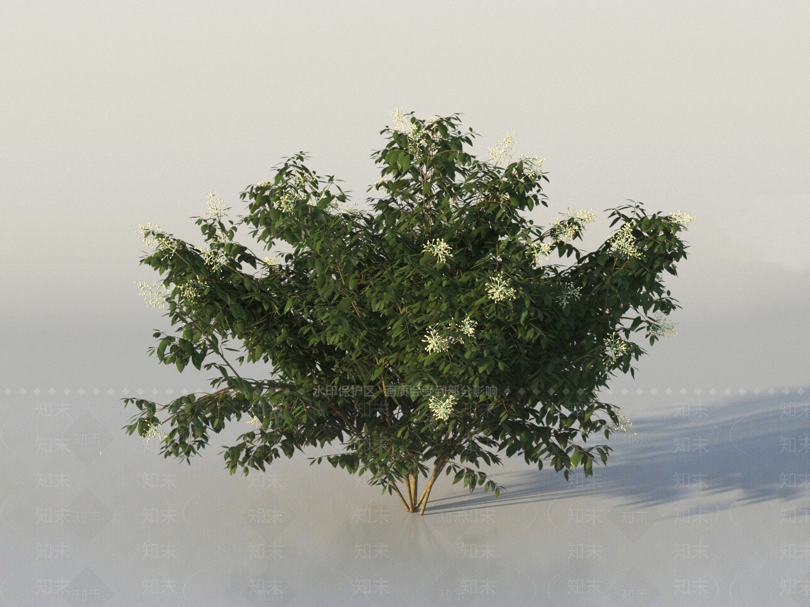 灌木3D模型下载【ID:1150861892】
