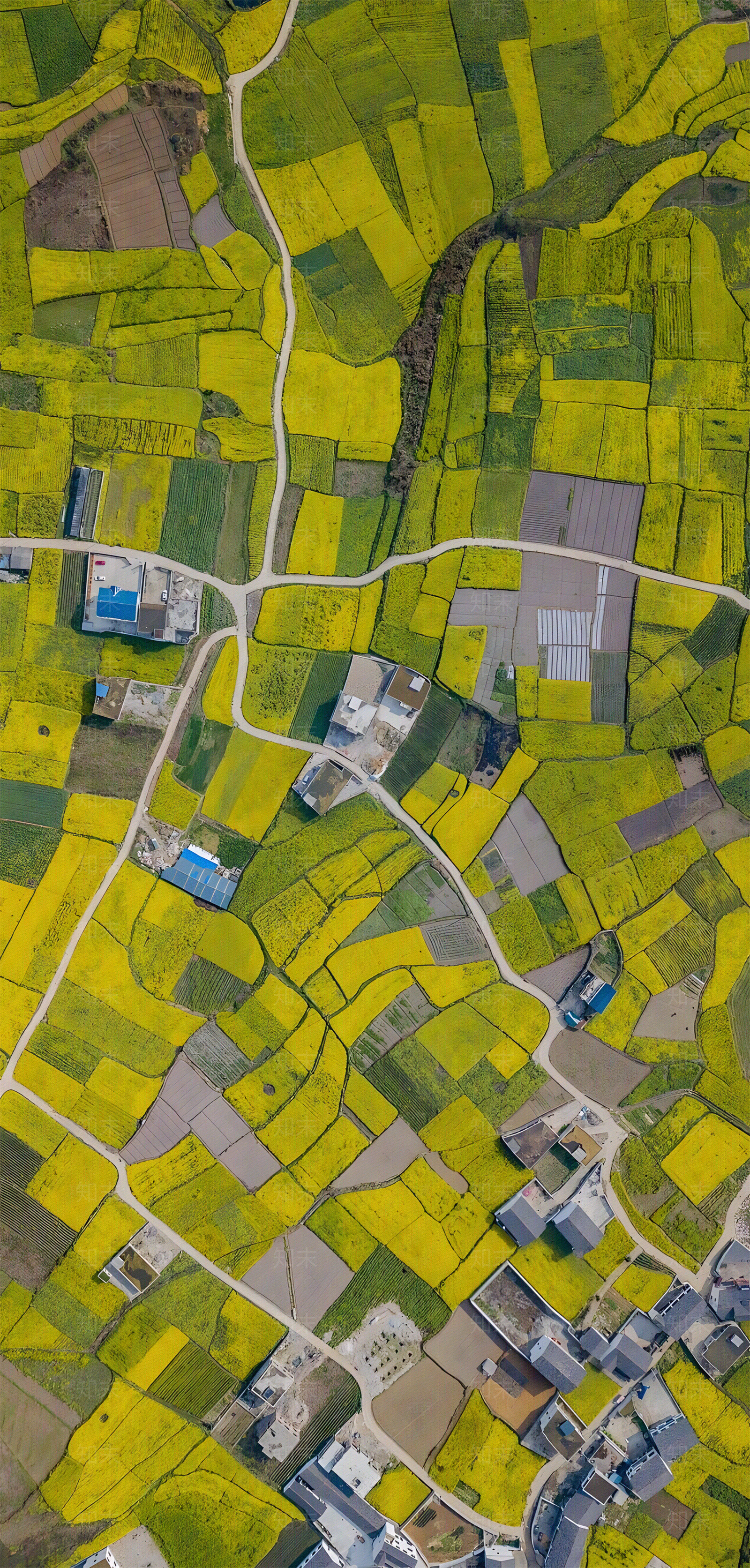 农田平面素材贴图下载【ID:1150930183】